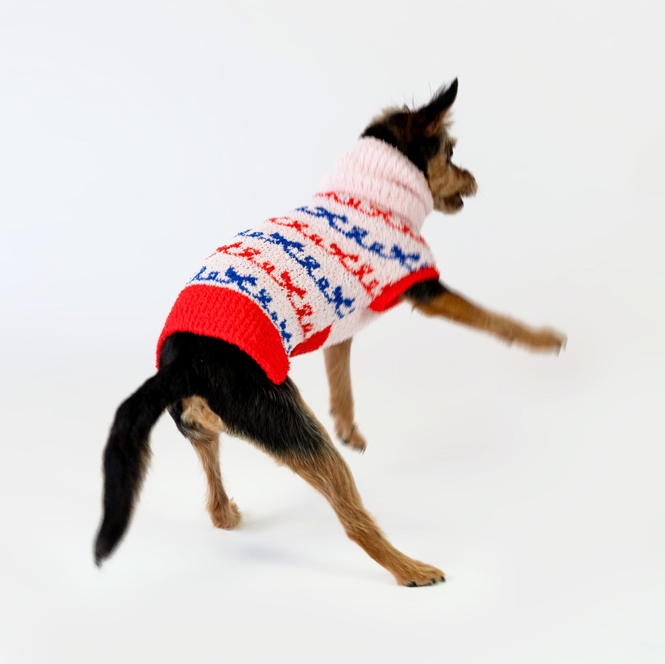 Small dog playfully walking while wearing a pink sweater with red and blue bow patterns. The cozy knit design provides warmth and comfort, adding a cute and cheerful touch to your furry friend's outfit.