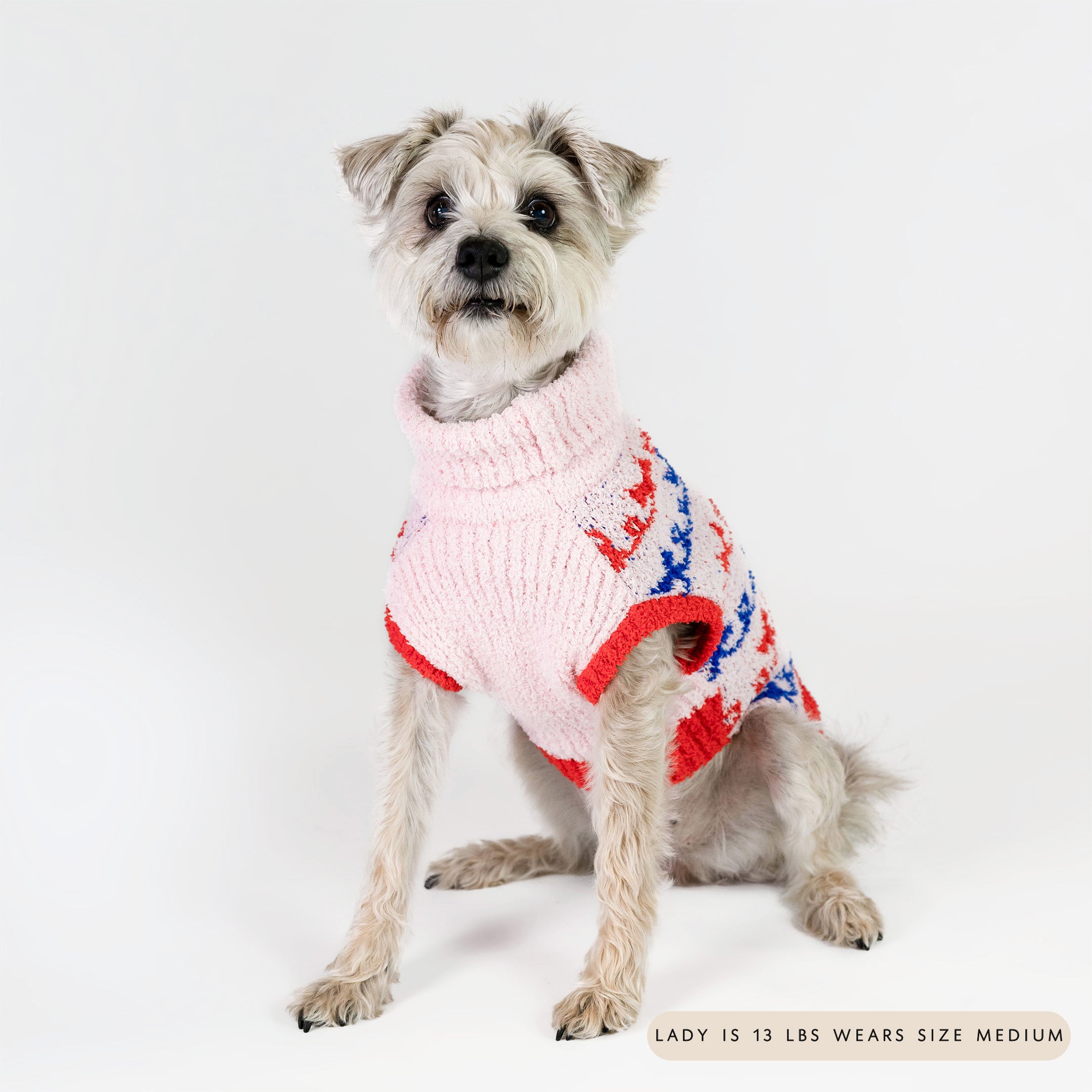 Small dog sitting and wearing a pink knit sweater with red and blue bow patterns. The soft and cozy sweater adds a touch of warmth and charm, perfect for keeping your furry friend stylish and comfortable.