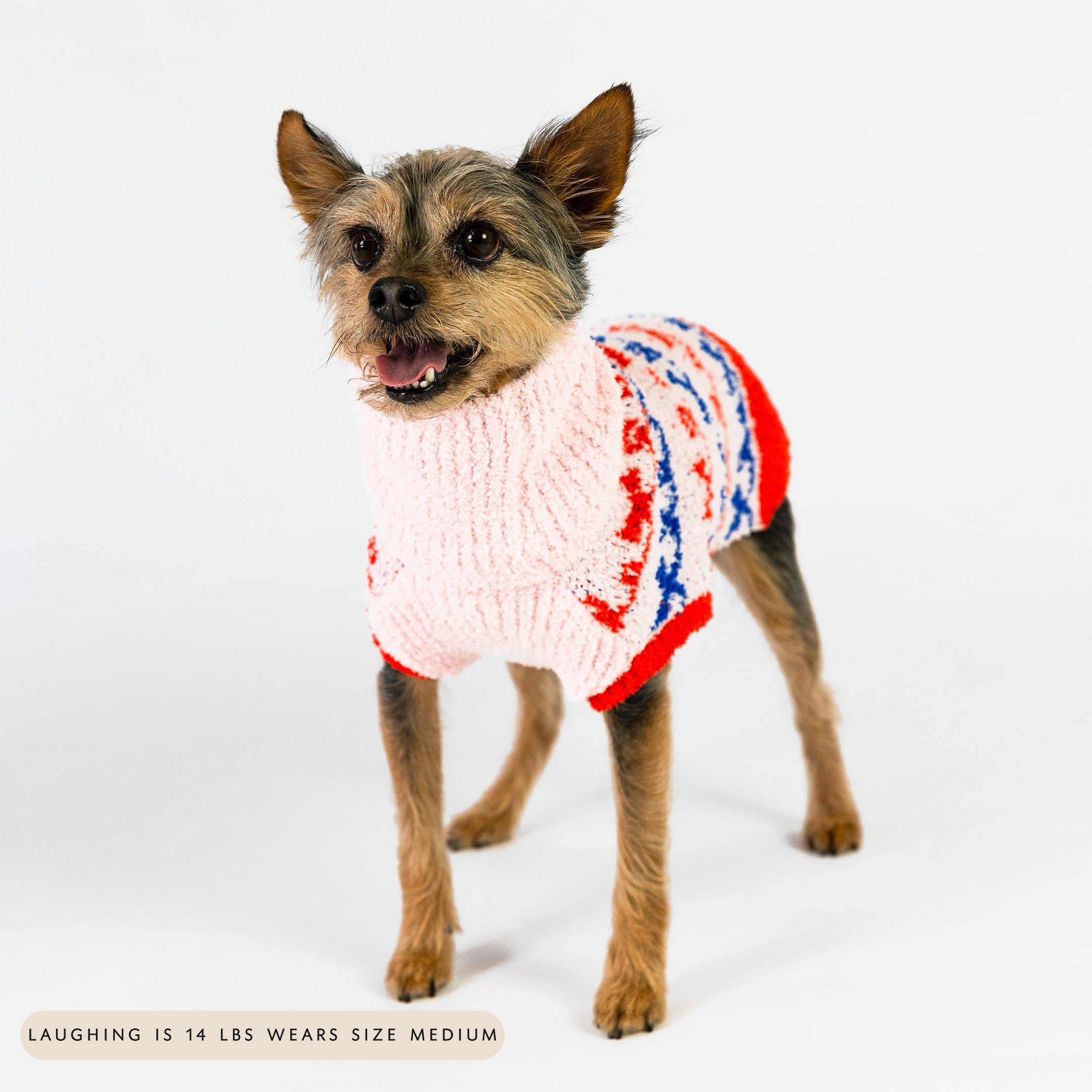 Small dog happily posing in a pink knit sweater adorned with red and blue bow patterns. The snug and stylish sweater offers warmth and a playful design, making it perfect for keeping your furry pal cozy and cute.