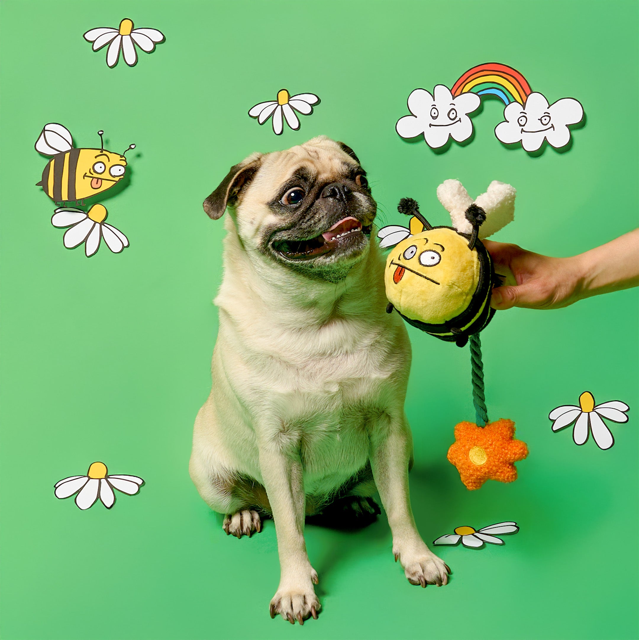 Pug dog with a bee-themed toy on a green background with cartoon elements