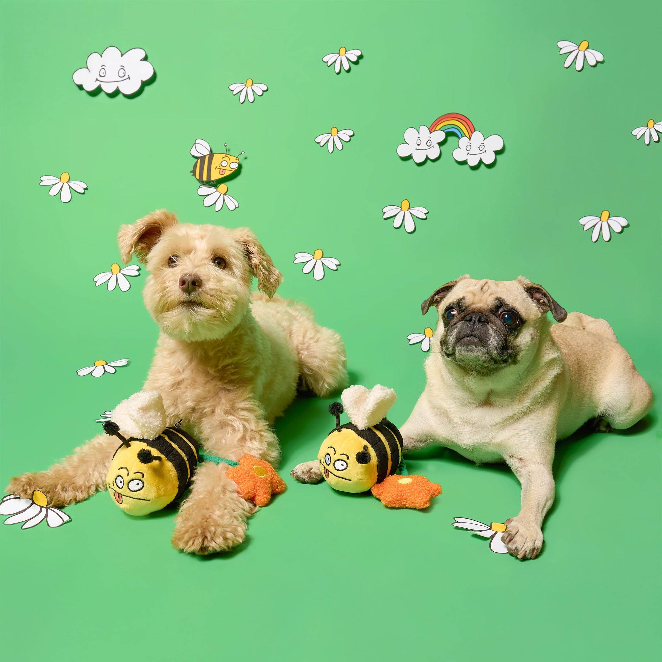 Two dogs with bee-themed toys on a green background with floral and rainbow decorations