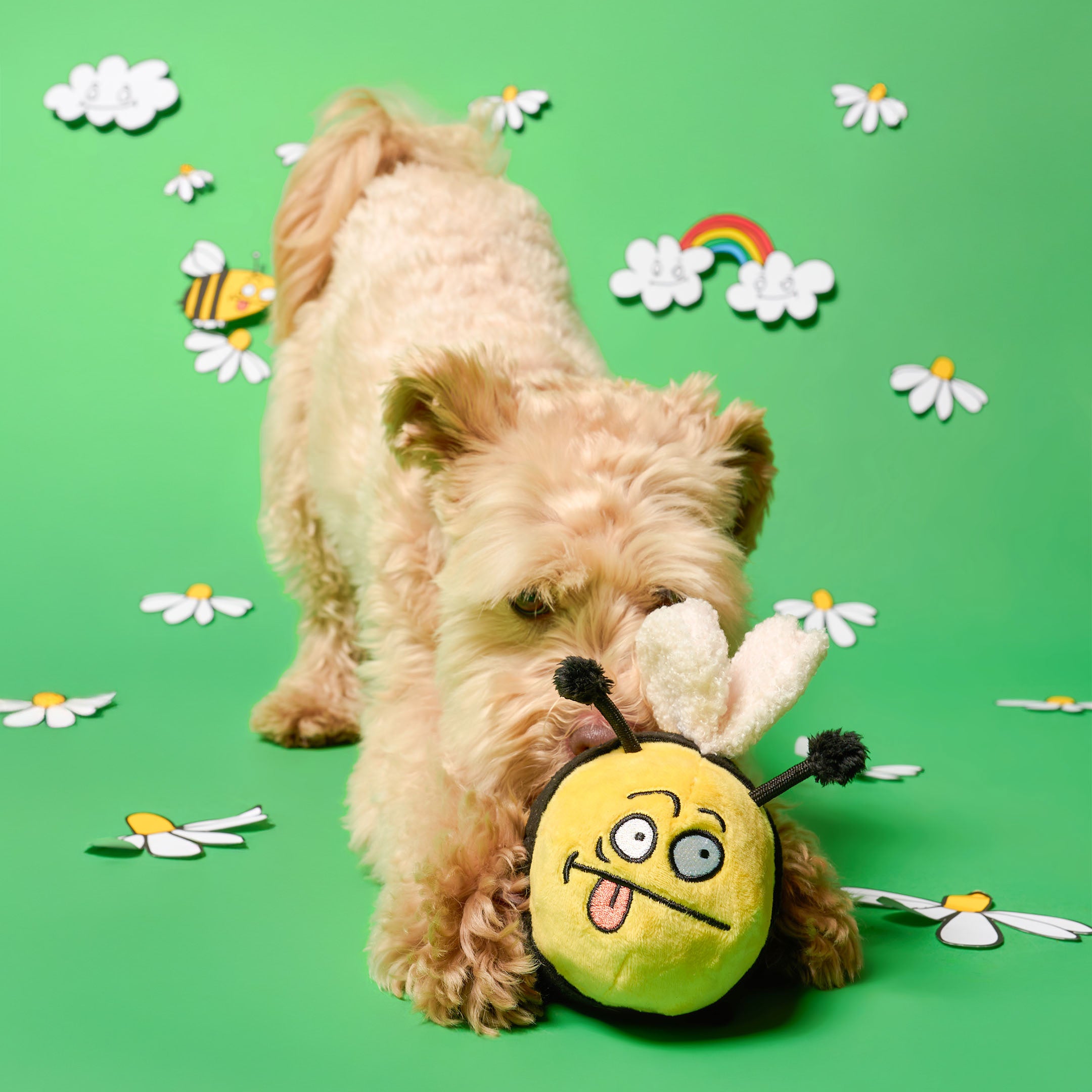 Dog playing with a bee-shaped toy on a green background with flowers and a rainbow.