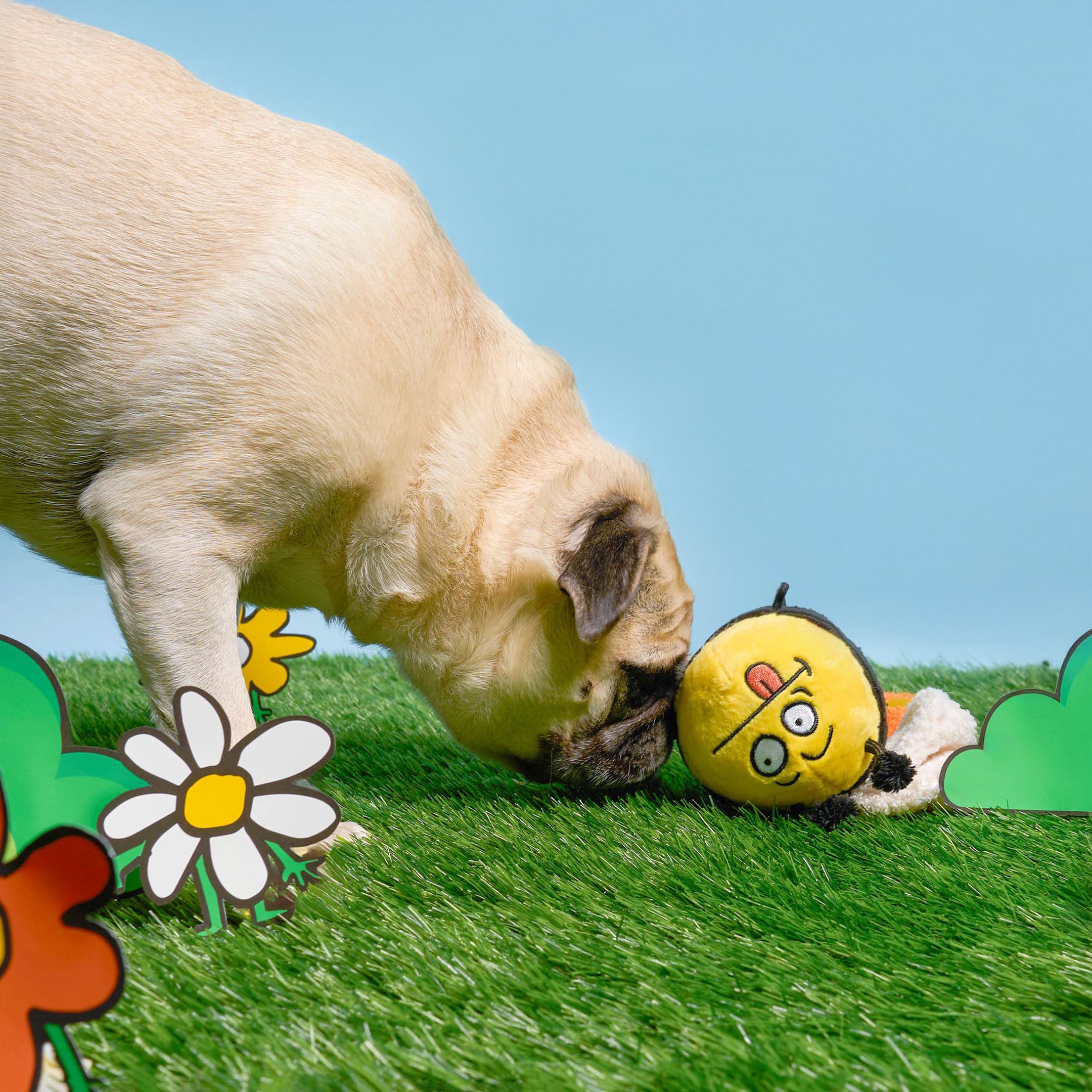 Dog playing with a toy on a grassy field with a blue sky