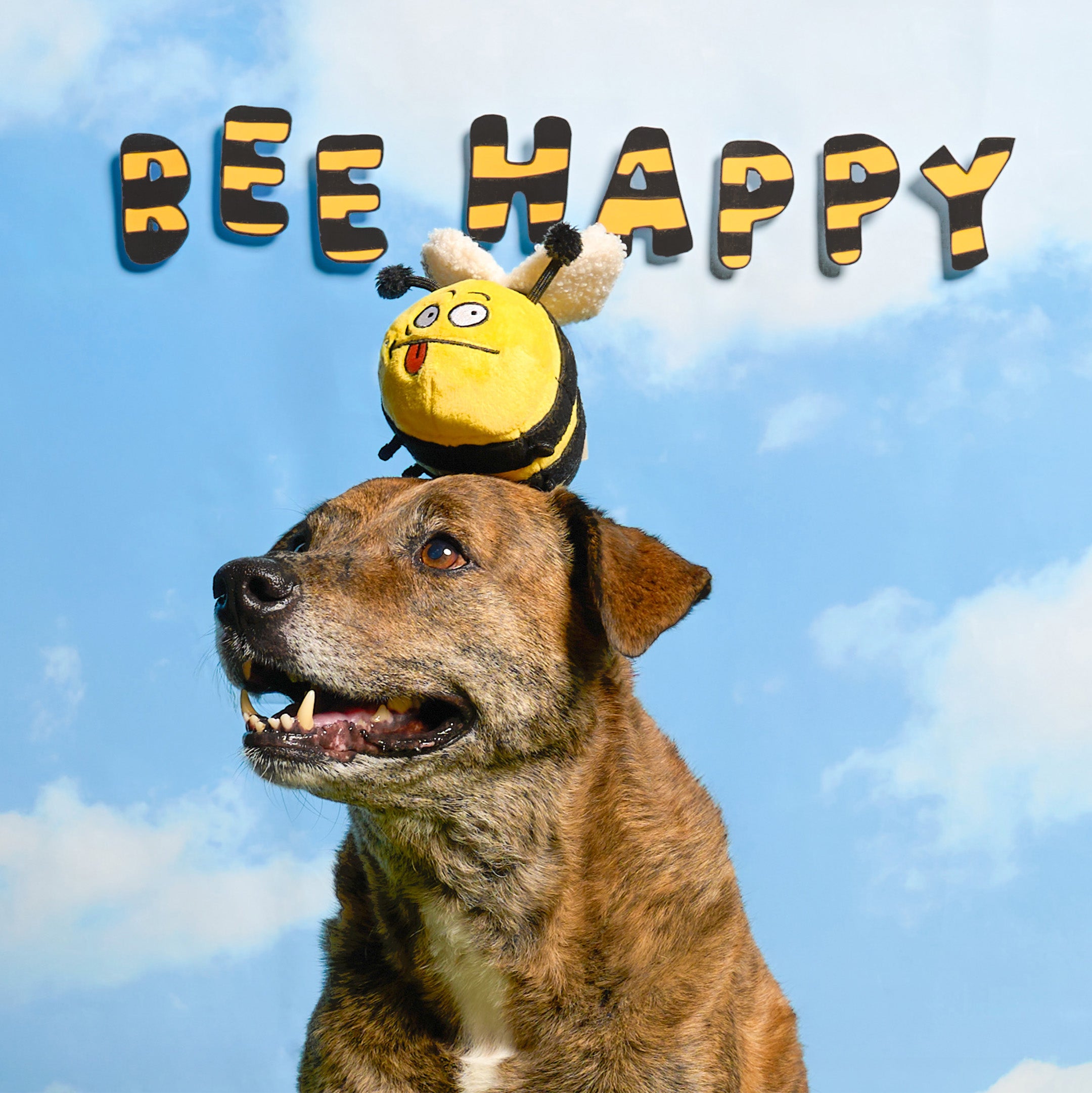 Dog with a bee-shaped toy on its head against a blue sky background with 'BEE HAPPY' text.
