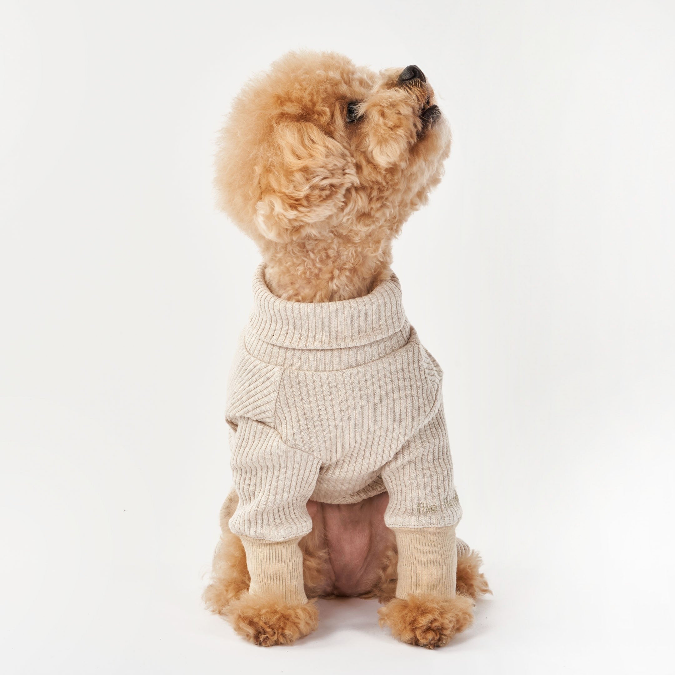 A curly-haired dog sitting in a beige ribbed onesie, looking up with a curious expression, showcasing the high neck design.