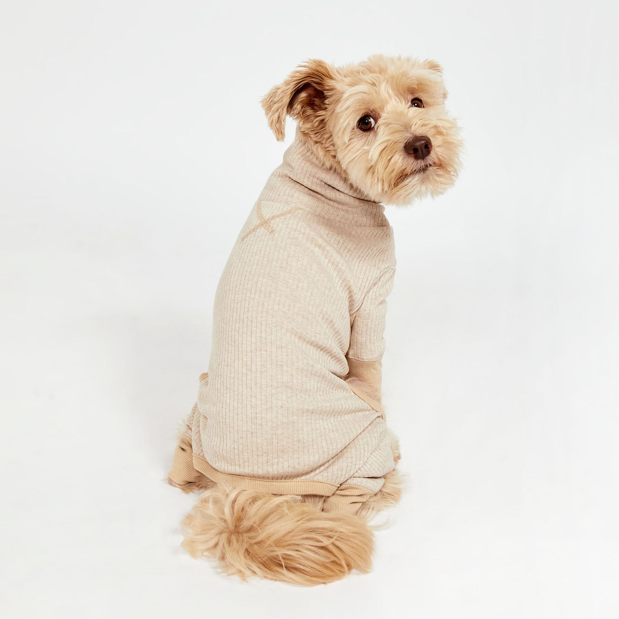 A curly-haired dog sitting in a beige ribbed onesie, looking back with a soft expression, showcasing the outfit's back detail.