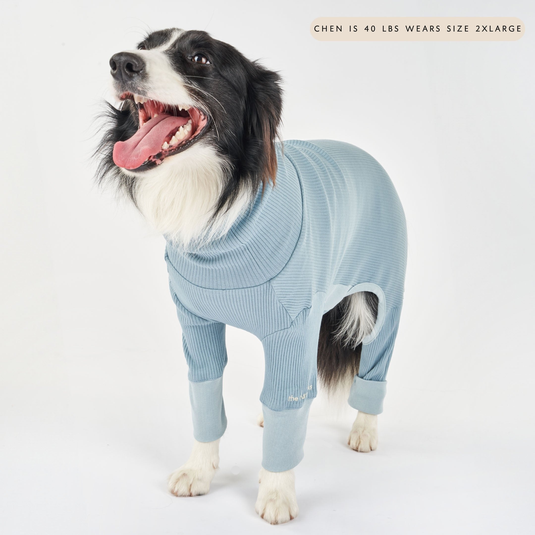 A large dog wearing a blue ribbed dog onesie, standing happily with its mouth open, weight and size details displayed.