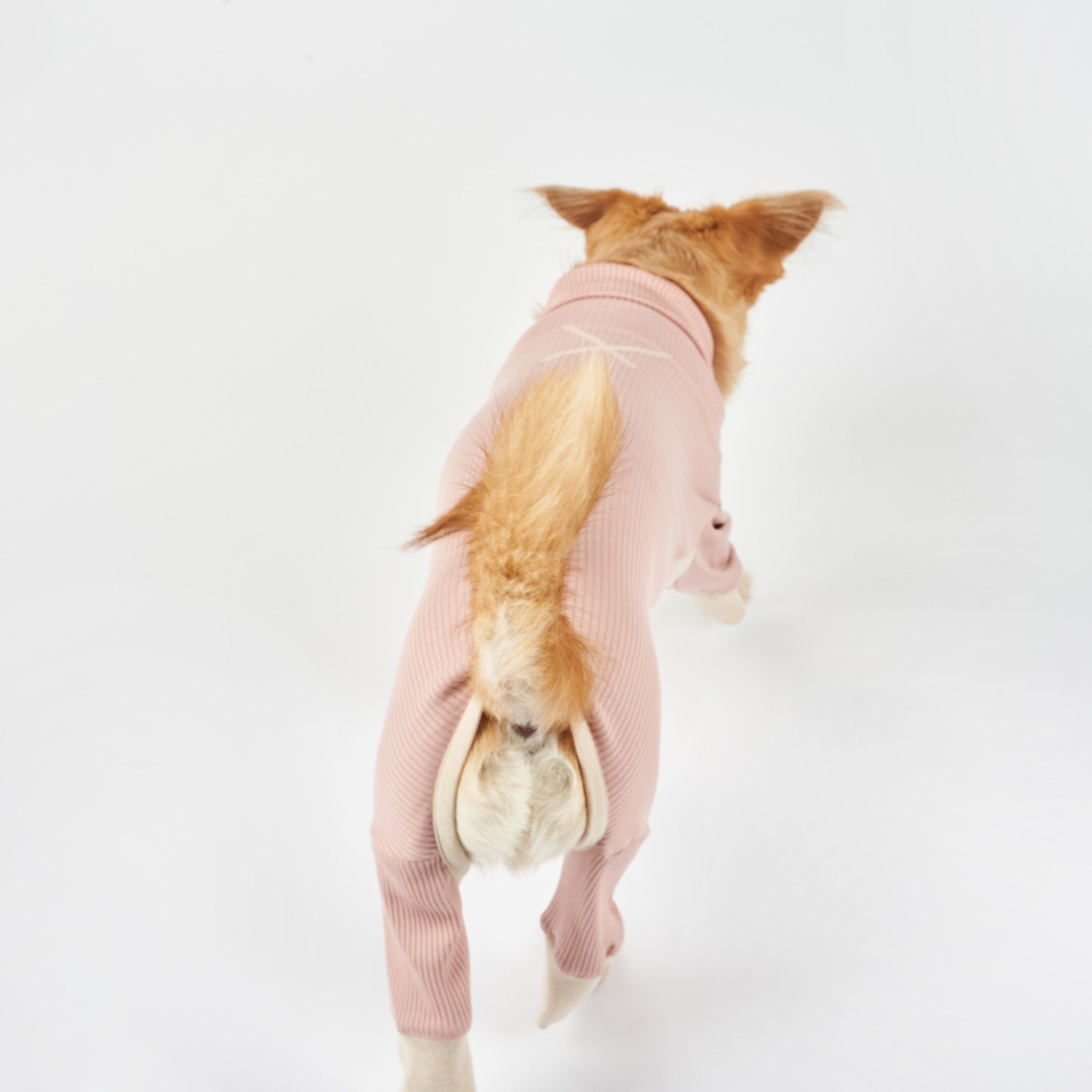 A dog in a pink ribbed dog onesie with cream cuffs, walking away, showcasing the back view of the outfit.