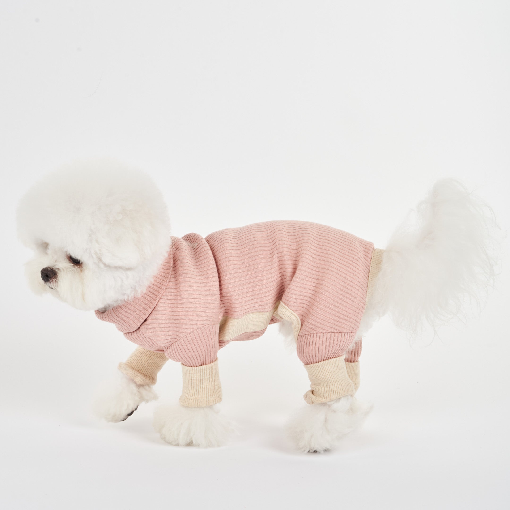 A side profile of a small white fluffy dog in a pink ribbed onesie with cream cuffs, standing gracefully.