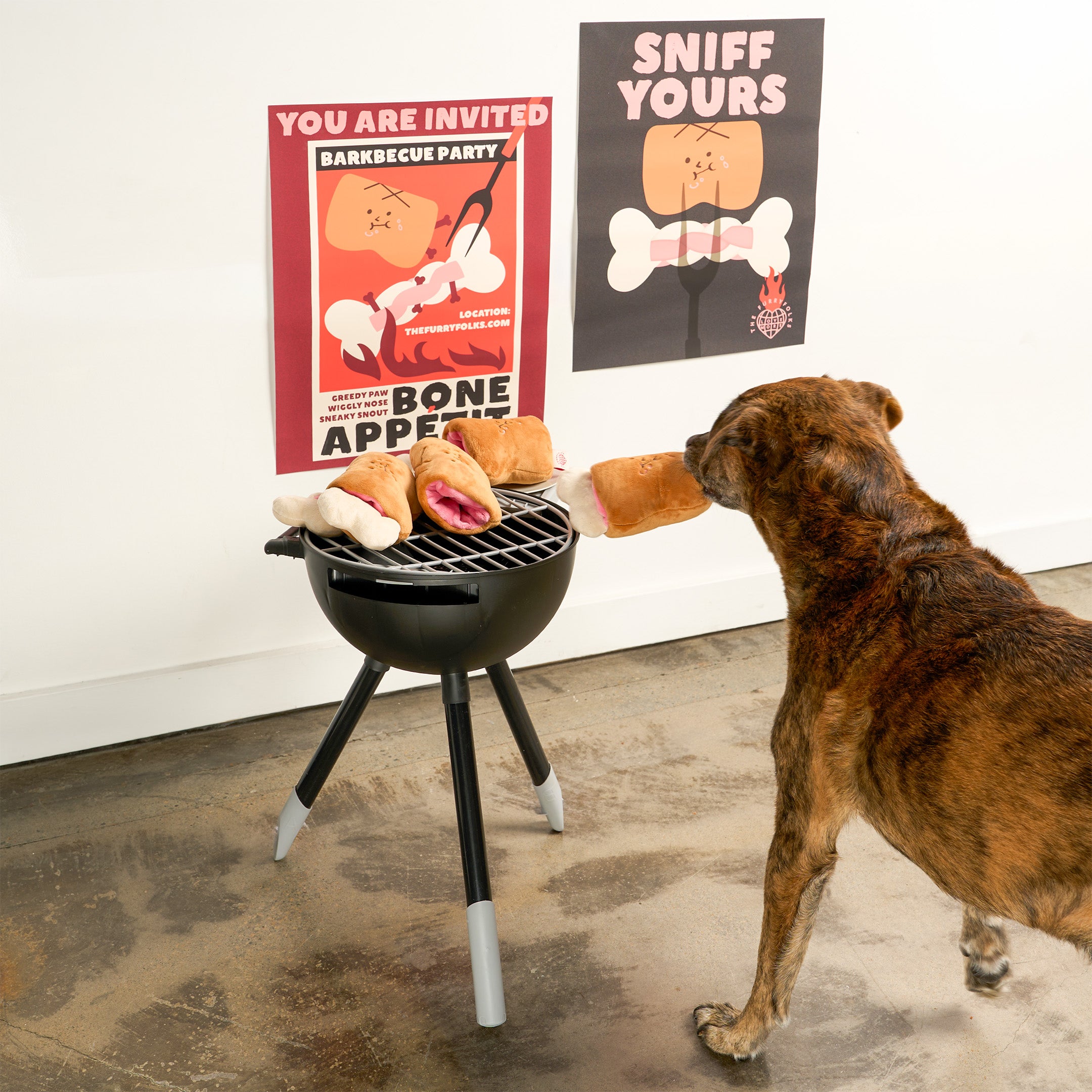 Dog playing with a small grill toy with food-shaped bones, with posters in the background.