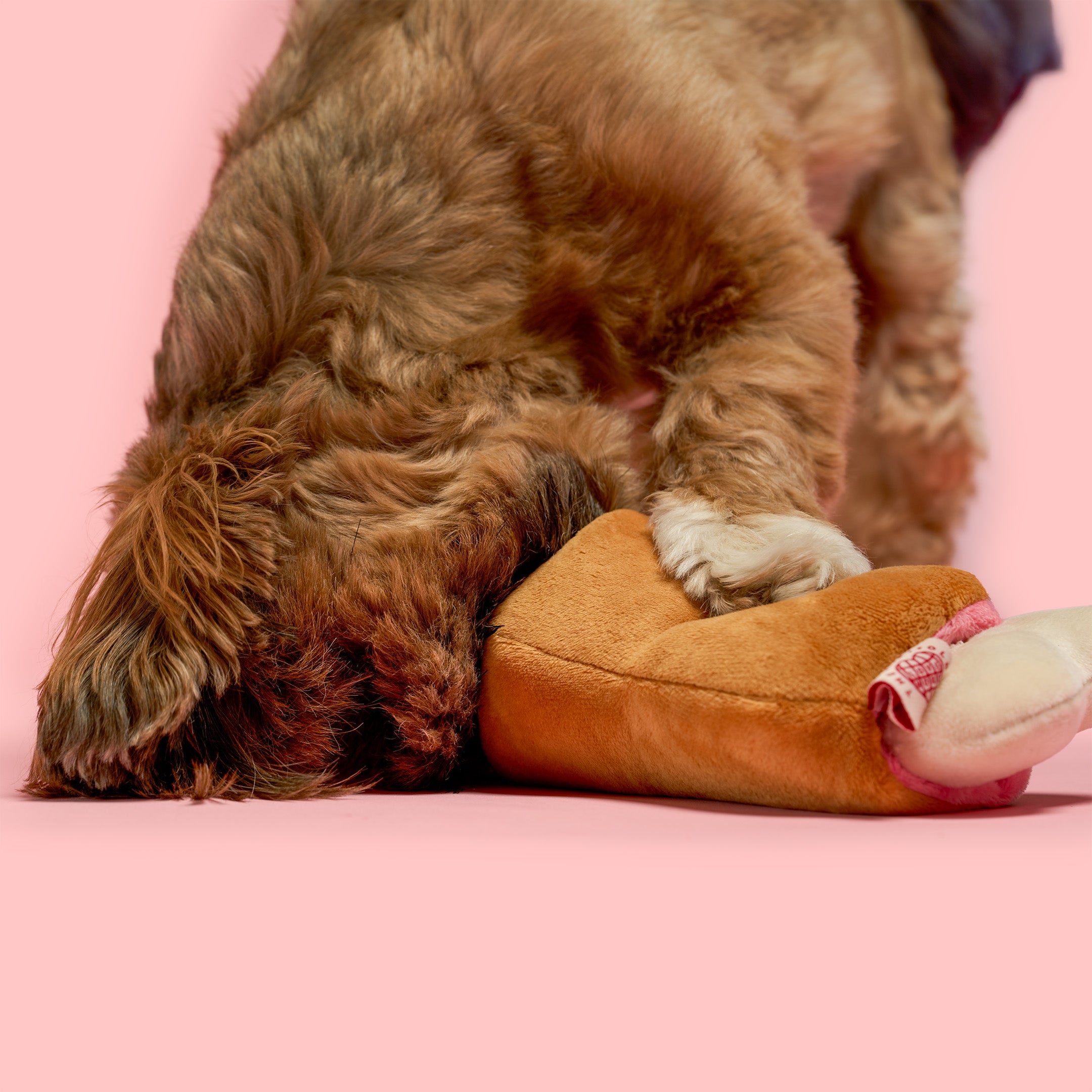 Brown dog playing with a brown plush toy on a pink background