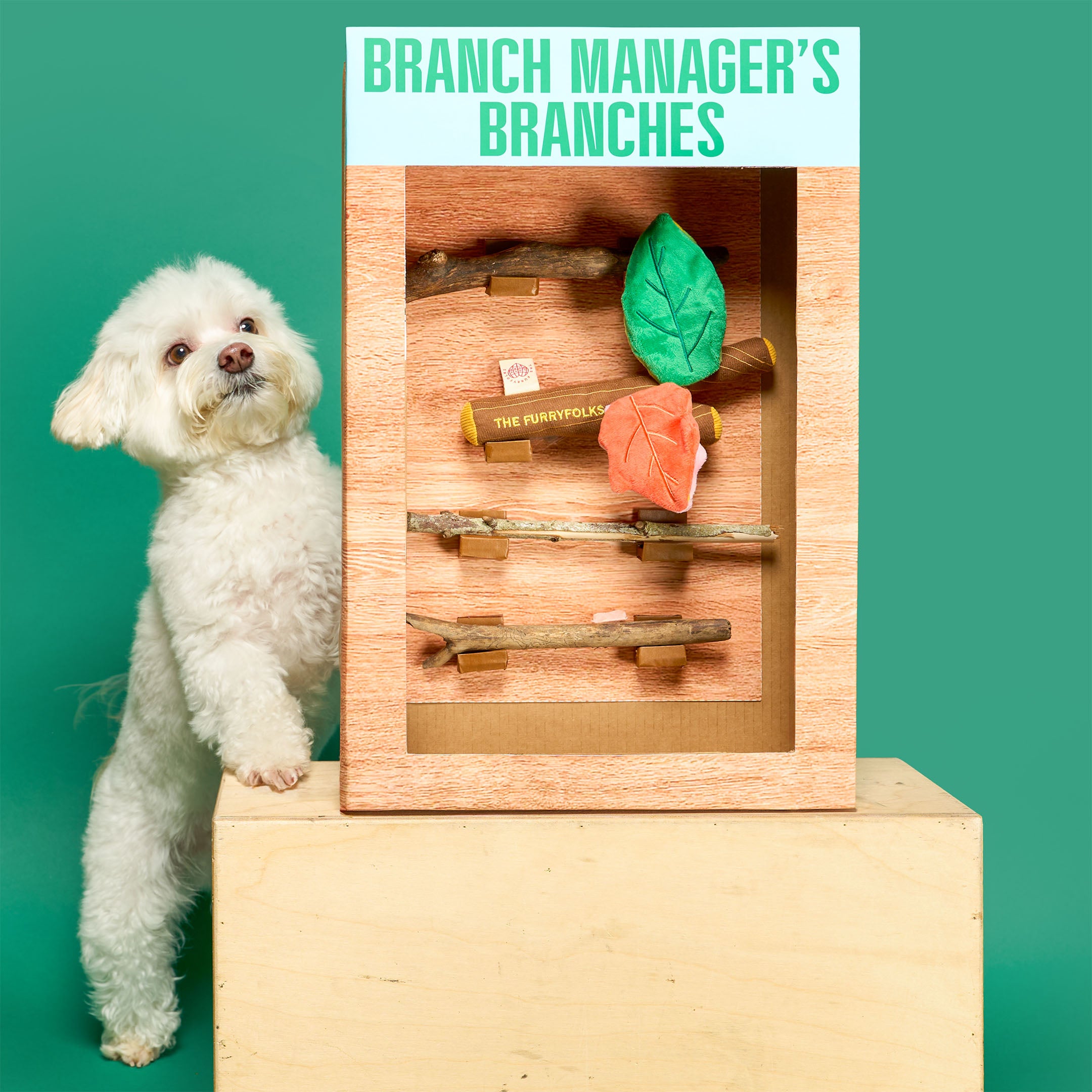 White dog standing next to a wooden product with decorative elements on a green background