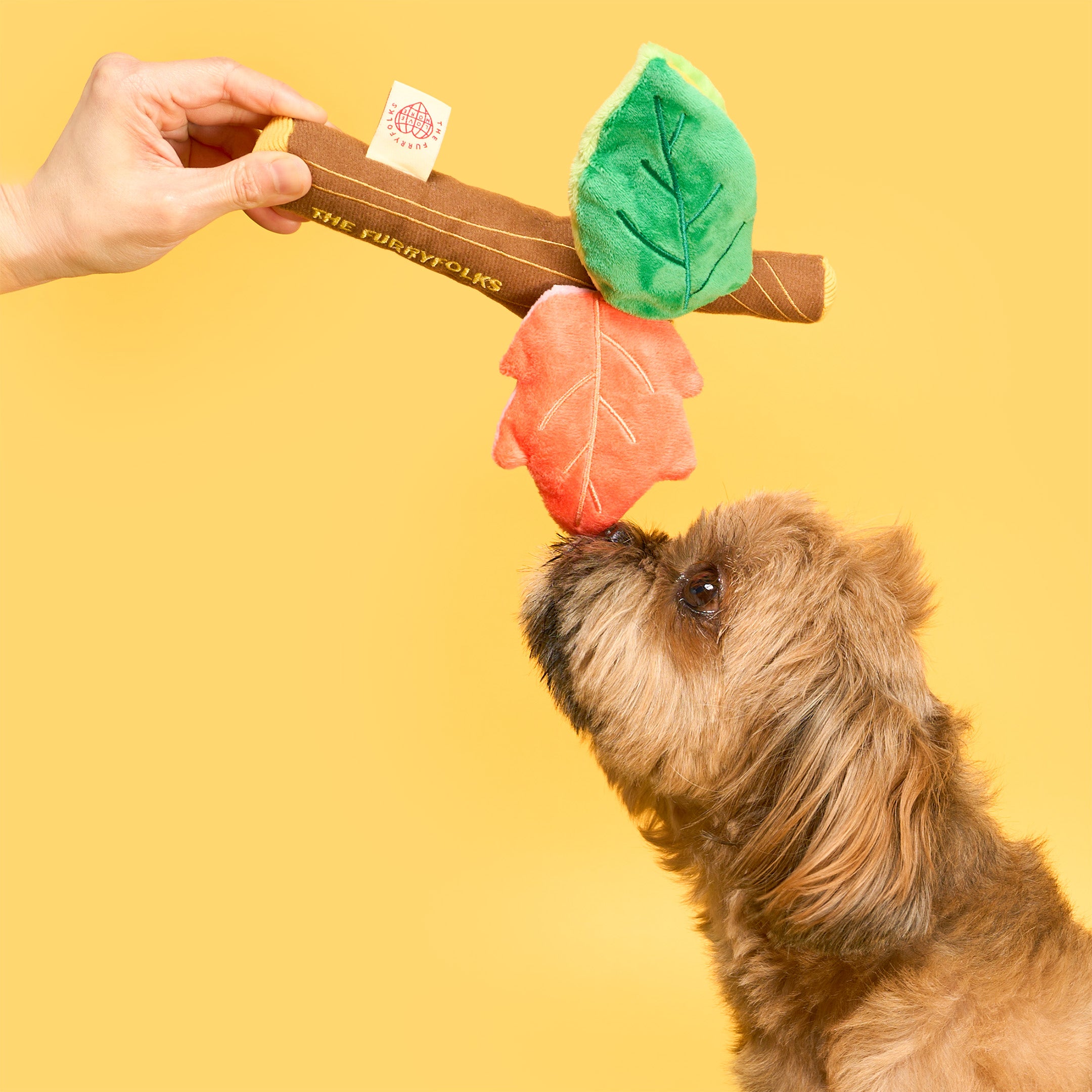 Dog playing with a leaf-shaped toy held by a hand on a yellow background