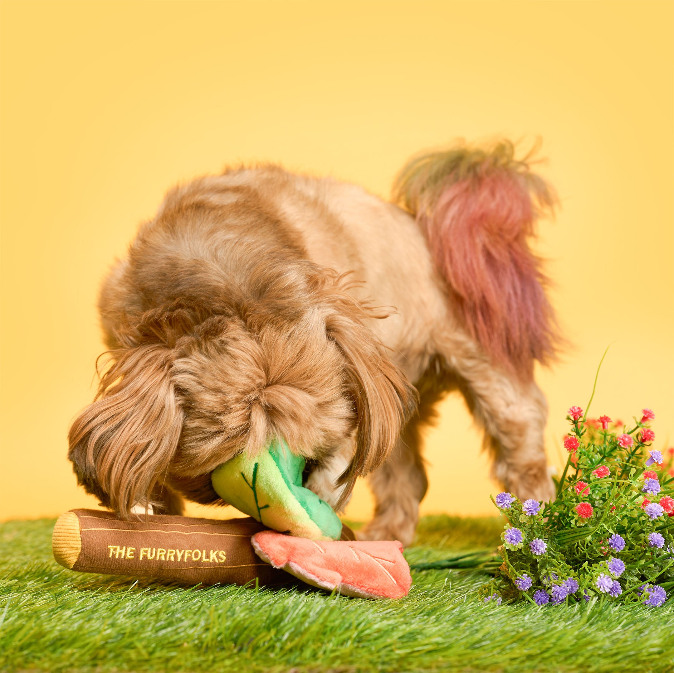 Dog playing with a toy labeled 'The Furryfolks' on grass with a yellow background