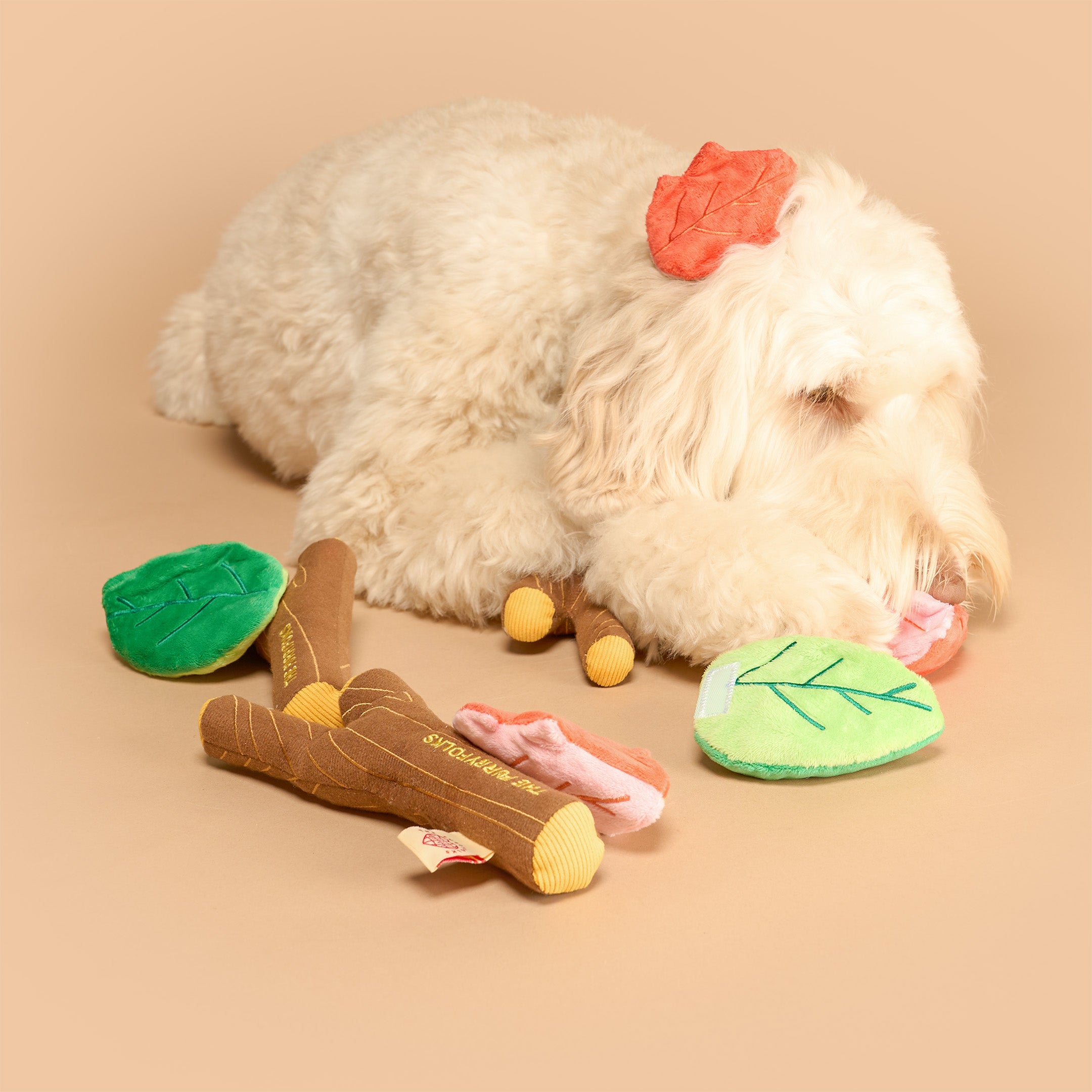 White dog with a red bow surrounded by colorful dog toys on a beige background