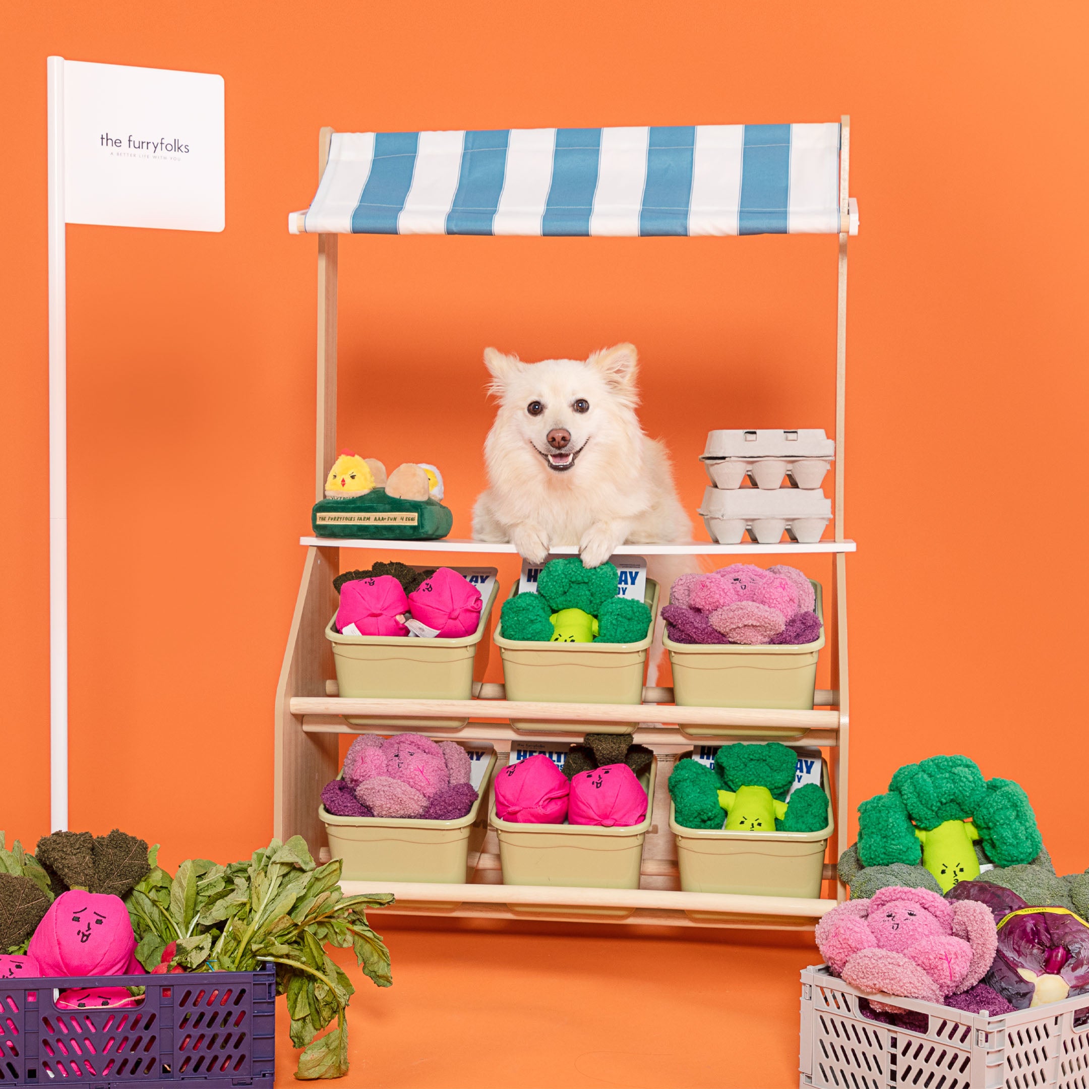 Dog sitting behind a toy store display with various plush toys on an orange background