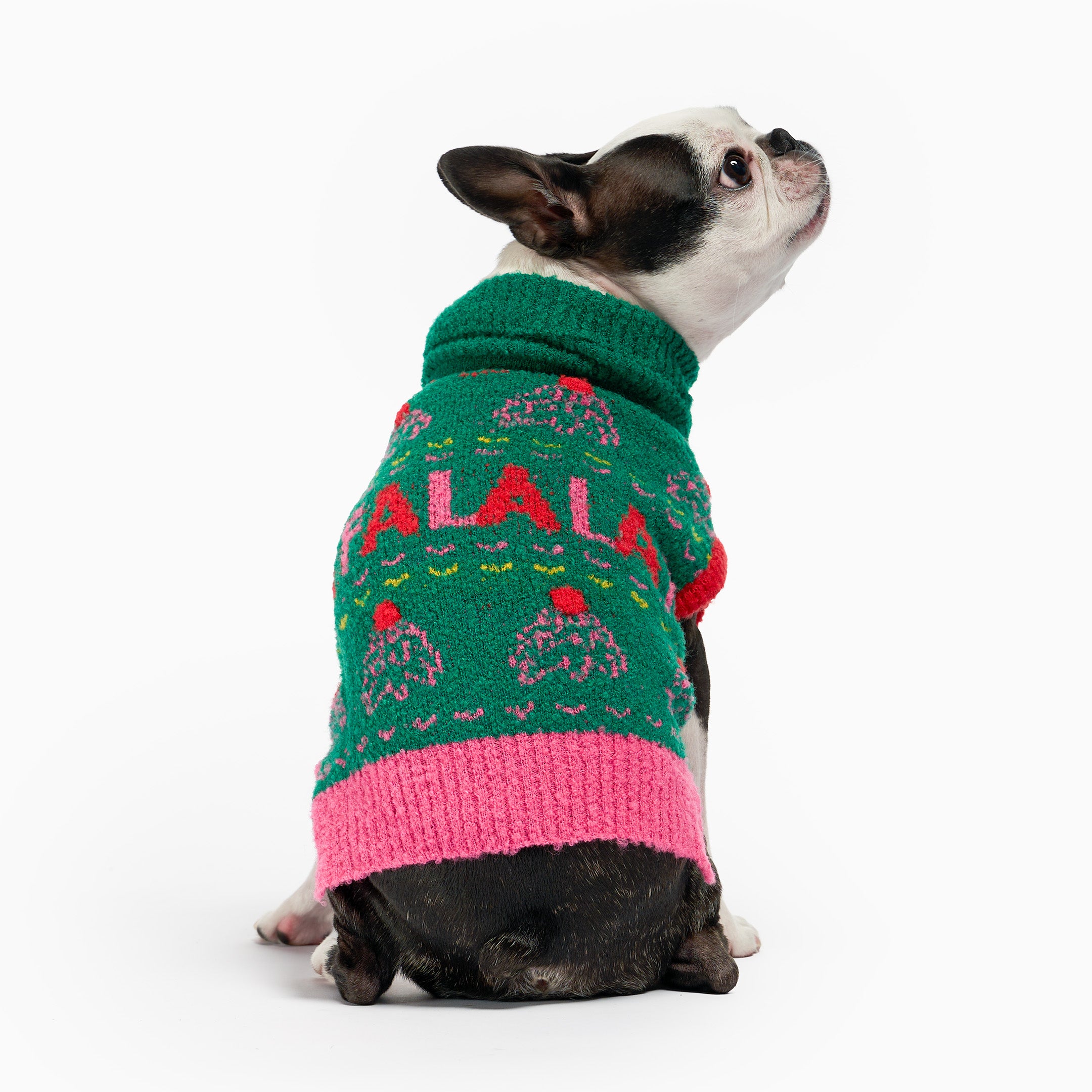 A dog wearing a green and pink sweater with 'FALALA' text on a white background