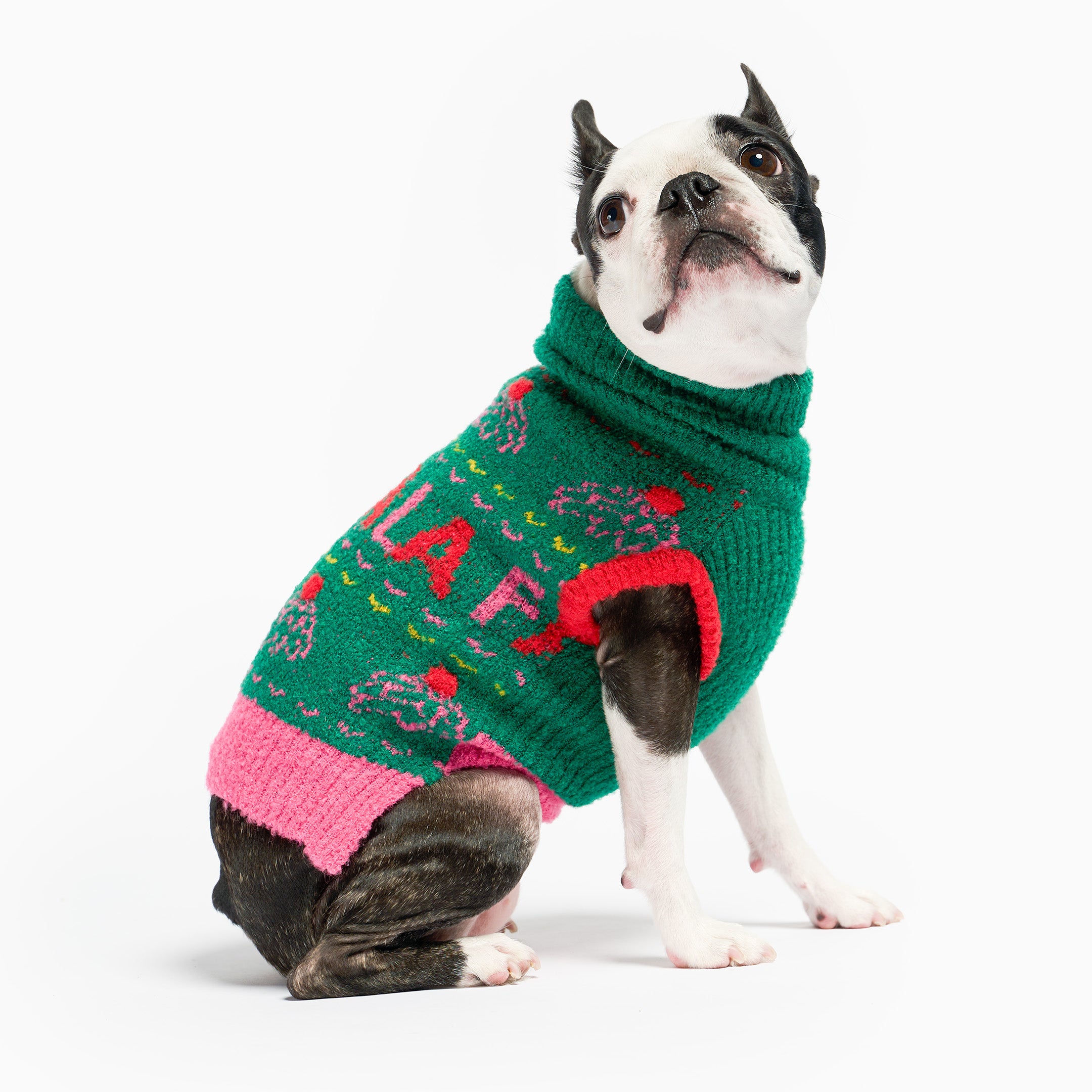 Dog wearing a colorful sweater on a white background