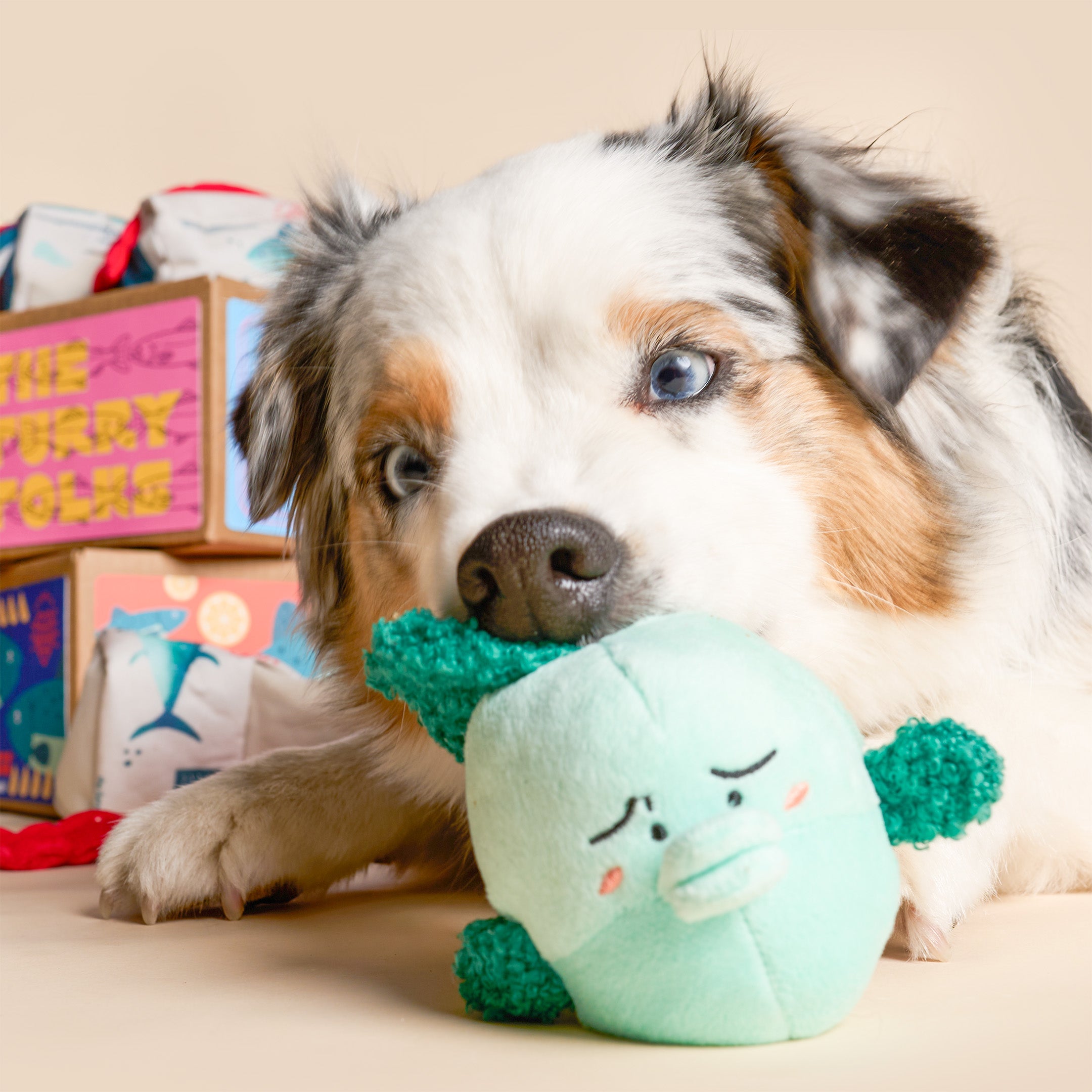 Dog playing with a green plush toy on a beige surface