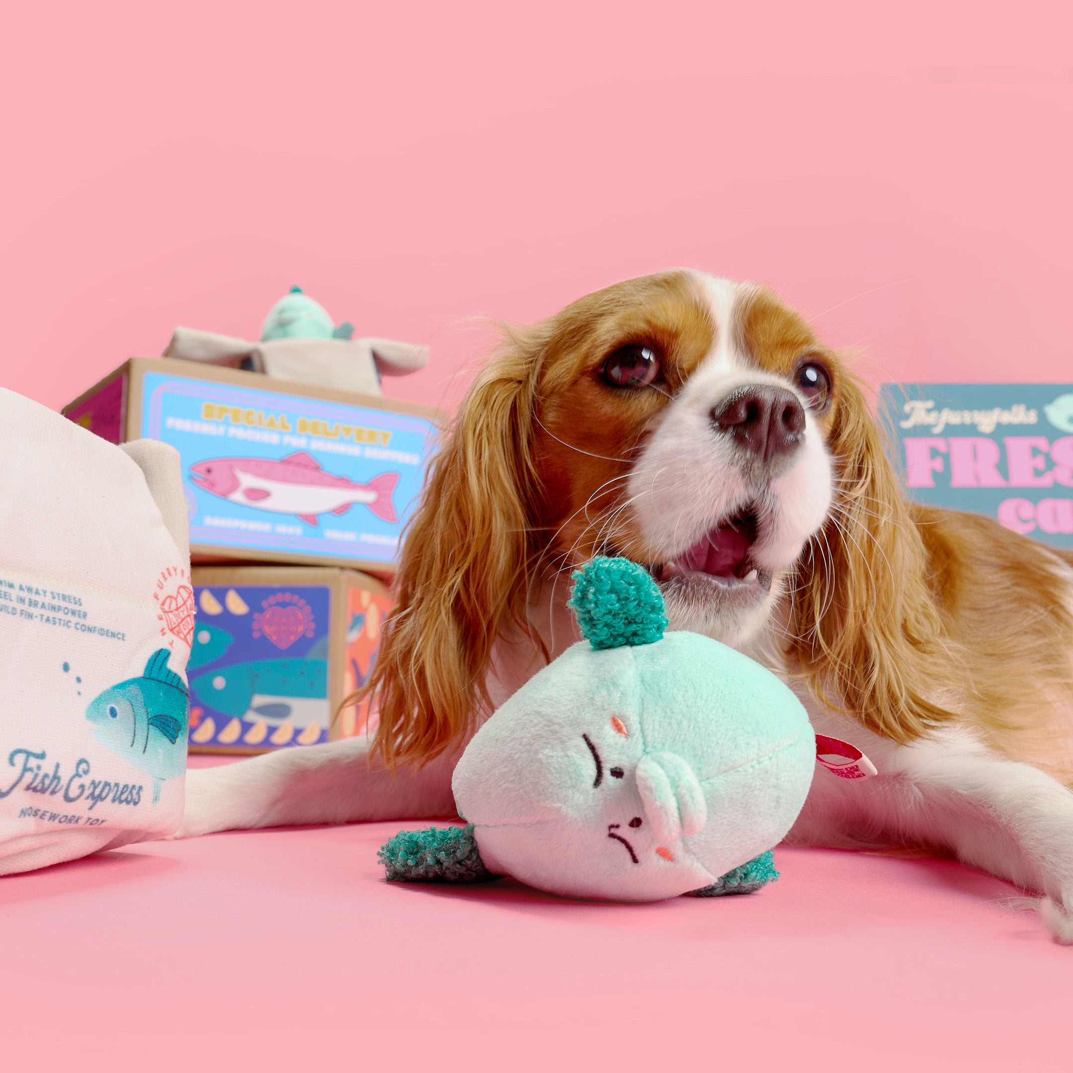 Dog playing with a plush toy on a pink background with product boxes in the background