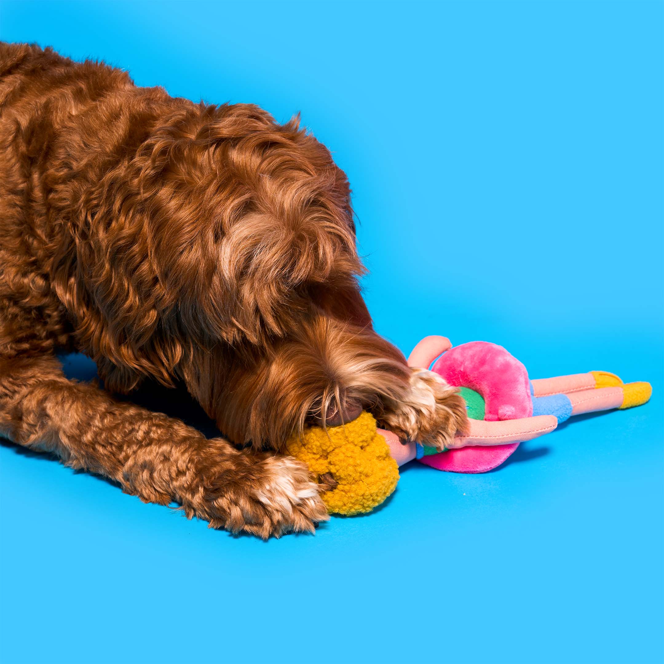 A curly-haired brown dog paws and sniffs the knotted yellow hair of the Flamingo Hooman plush toy on a bright blue background.