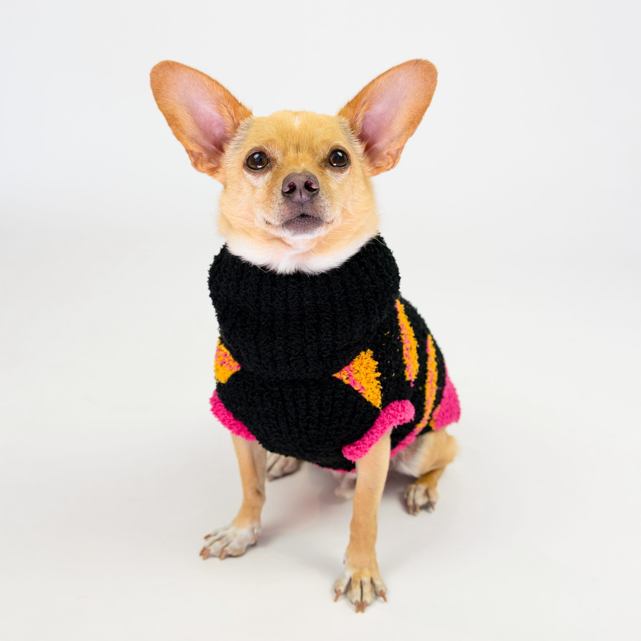 Small dog sitting while wearing a black knit sweater with bright orange and pink hot dog patterns, featuring pink trim. The playful and cozy design adds warmth and a fun touch, making it perfect for stylish furry companions.