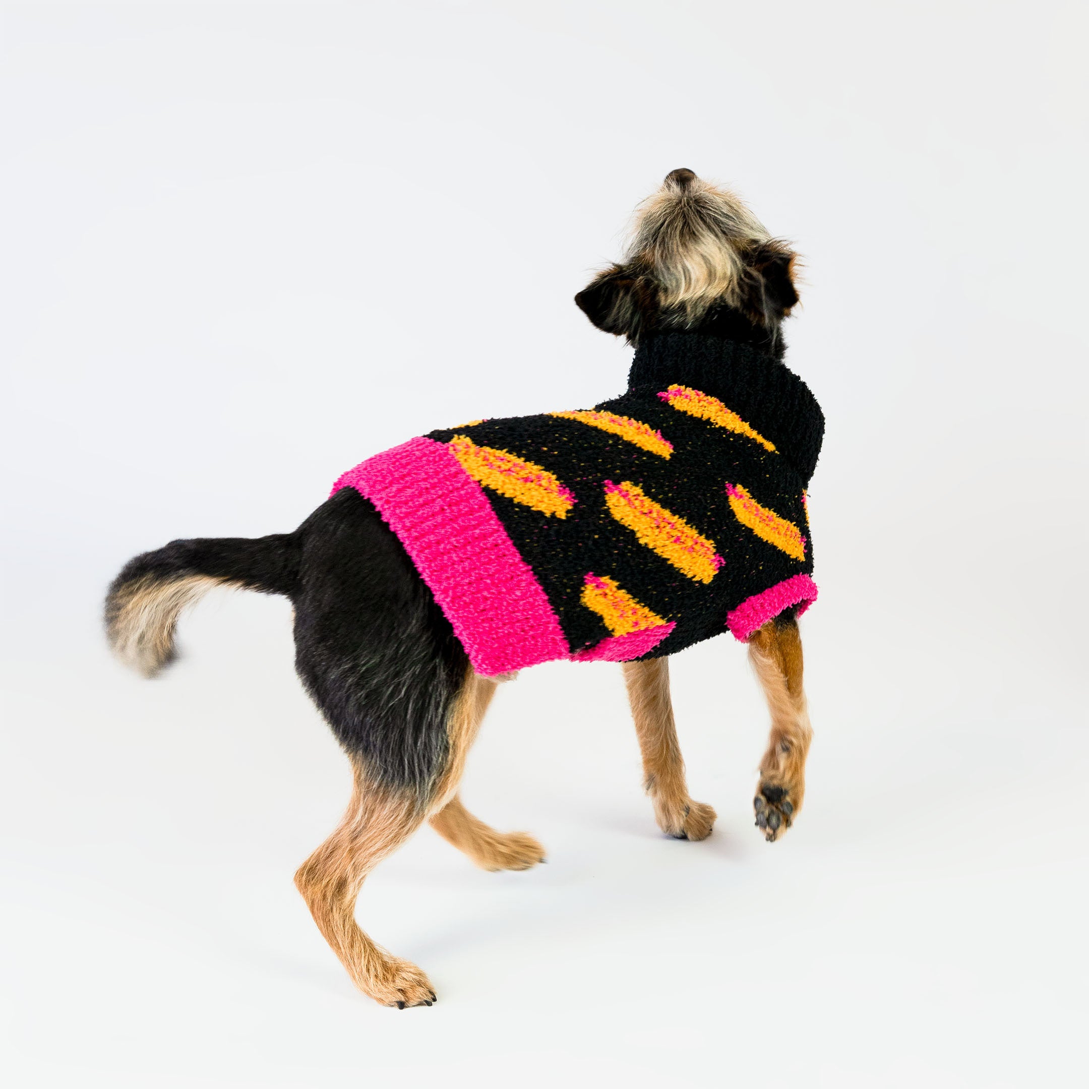 Small dog walking while wearing a black knit sweater with bright orange and pink hot dog patterns, featuring a pink hem. The cozy and vibrant design adds a fun and playful touch, perfect for fashionable furry pals.