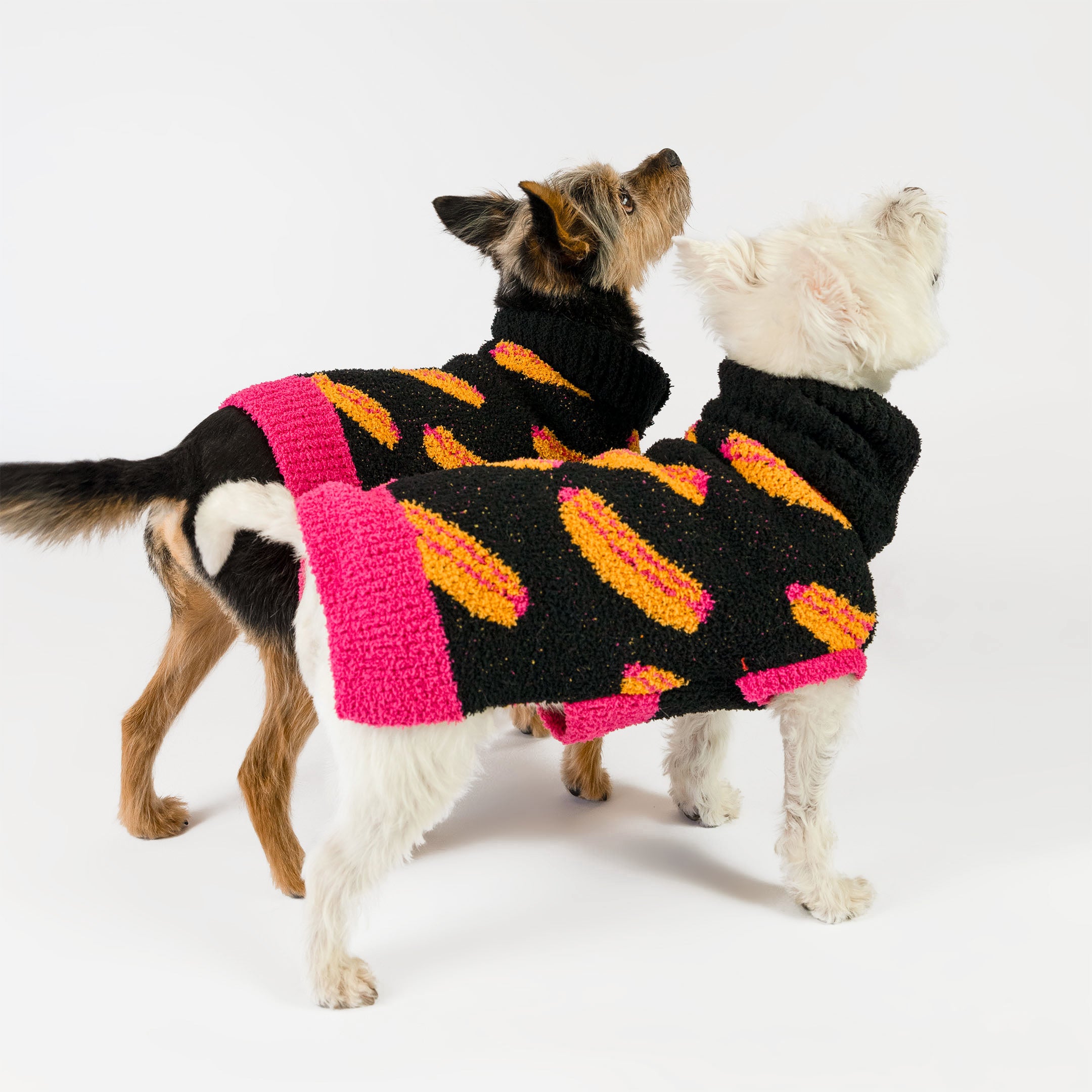 Two small dogs standing side by side, both wearing matching black knit sweaters with bright orange and pink hot dog patterns, featuring a contrasting pink hem. The playful and cozy design adds warmth and a quirky style, perfect for fashionable furry companions.