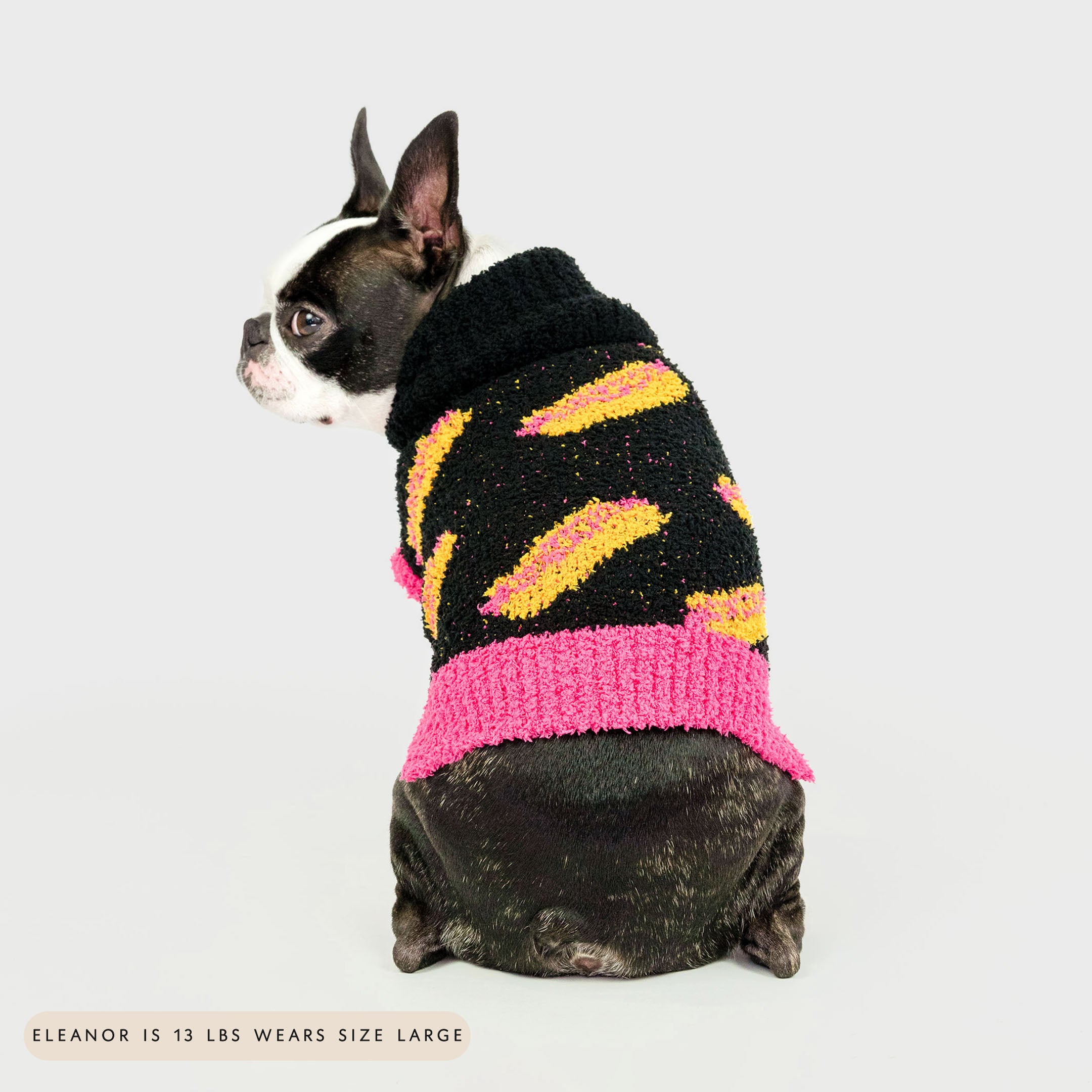 Small black and white dog sitting while wearing a black knit sweater with bright orange and pink hot dog patterns, featuring a pink hem. This playful and cozy sweater adds warmth and a fun, quirky style, perfect for furry friends who love to stand out.