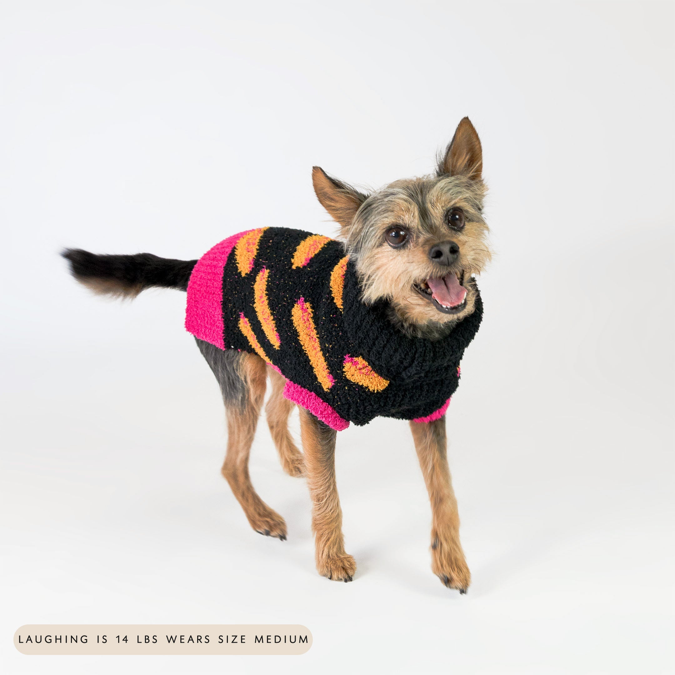 Small dog walking and smiling while wearing a black knit sweater with bright orange and pink hot dog patterns, featuring a pink hem. The cozy and playful design adds warmth and a fun pop of color, perfect for fashionable furry friends.