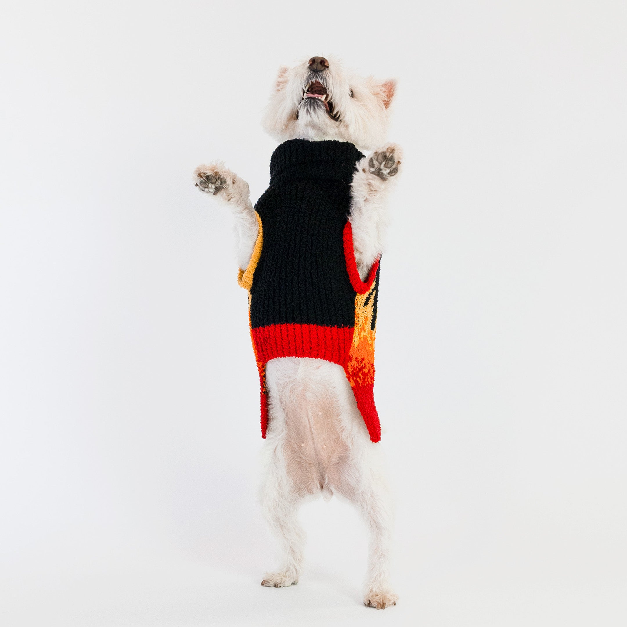 Small dog standing on hind legs, showing off a bold flame-patterned sweater with a black, red, orange, and yellow fire design. The cozy knit sweater provides both warmth and style, perfect for energetic and playful furry pals.