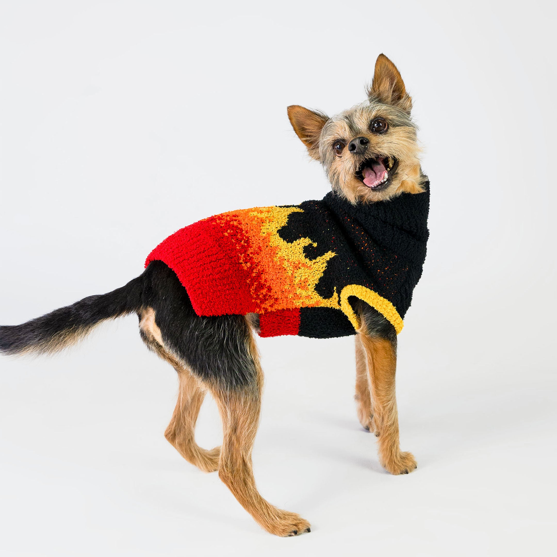 A small dog is wearing a cozy knitted sweater with a flame pattern that transitions from red at the back to yellow toward the front. The sweater fits snugly and covers the dog's body, leaving its legs and tail free. The dog has a happy and playful expression, with its mouth open as if smiling and its ears perked up, showing a joyful and energetic pose. The background is a simple white, emphasizing the dog and the vibrant design of the sweater.