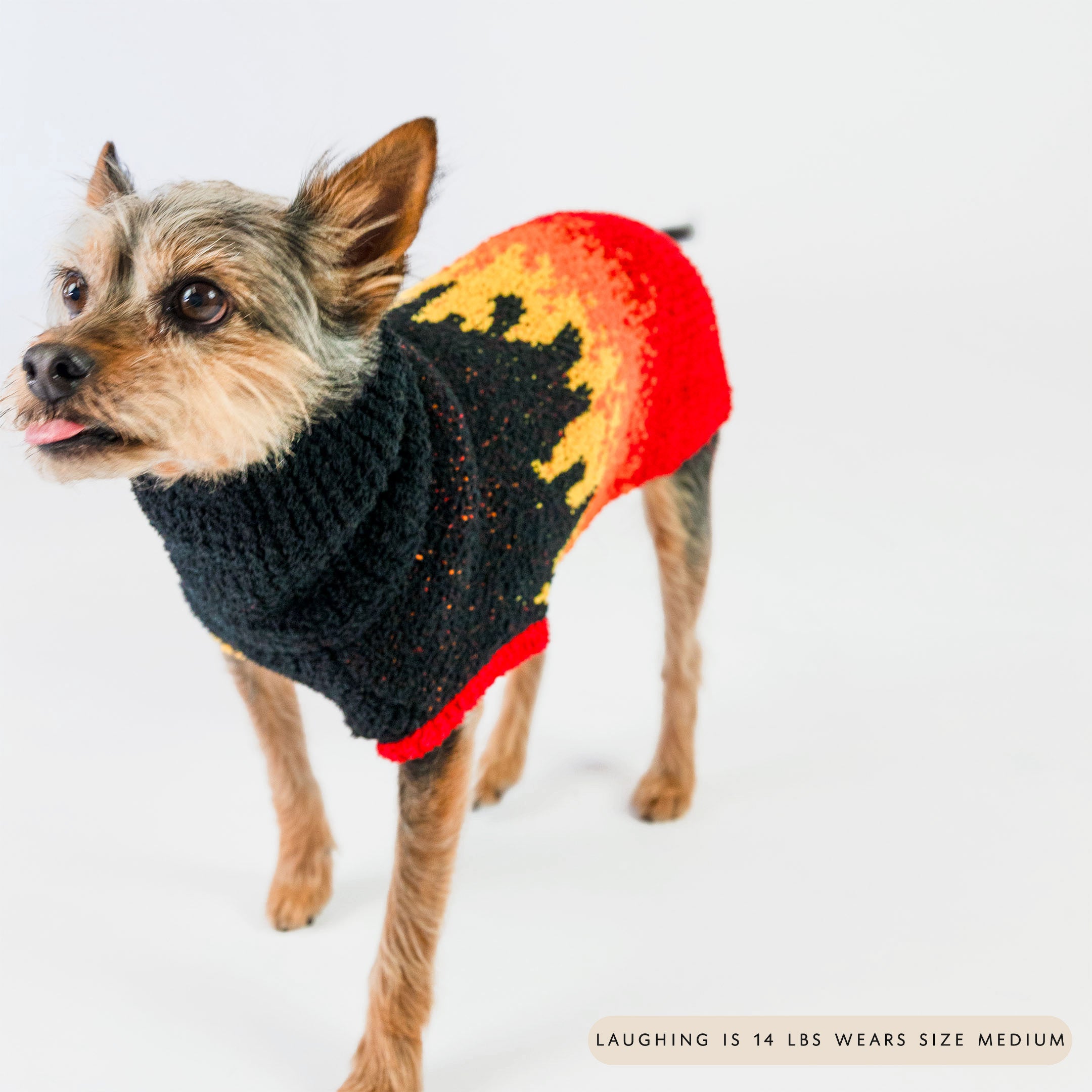 A small dog is standing, wearing a cozy knitted sweater with a flame design. The sweater features a black turtleneck and transitions into bright yellow, orange, and red flames along the back. The dog’s expression is playful, with its tongue slightly sticking out and its ears perked up. The sweater fits snugly, covering the dog's body while leaving its legs free. 