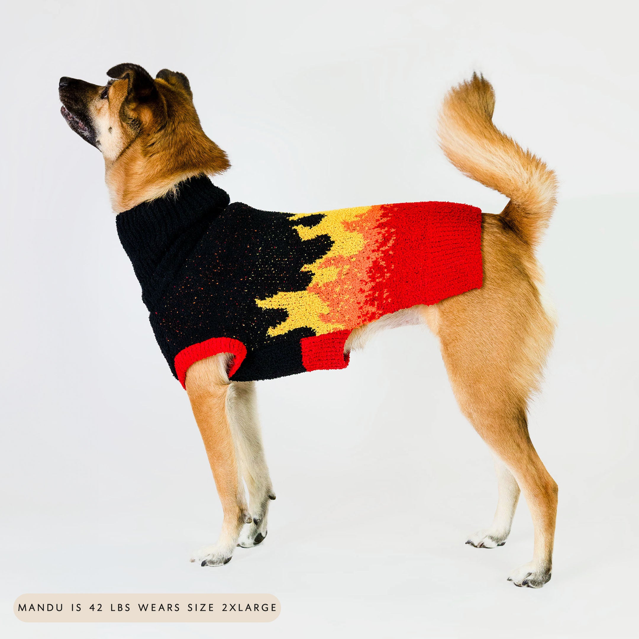 Medium-sized dog modeling a fiery flame-patterned sweater, featuring bold black, red, yellow, and orange colors. The cozy knit sweater combines warmth and bold style, perfect for larger furry pals who love standing out.