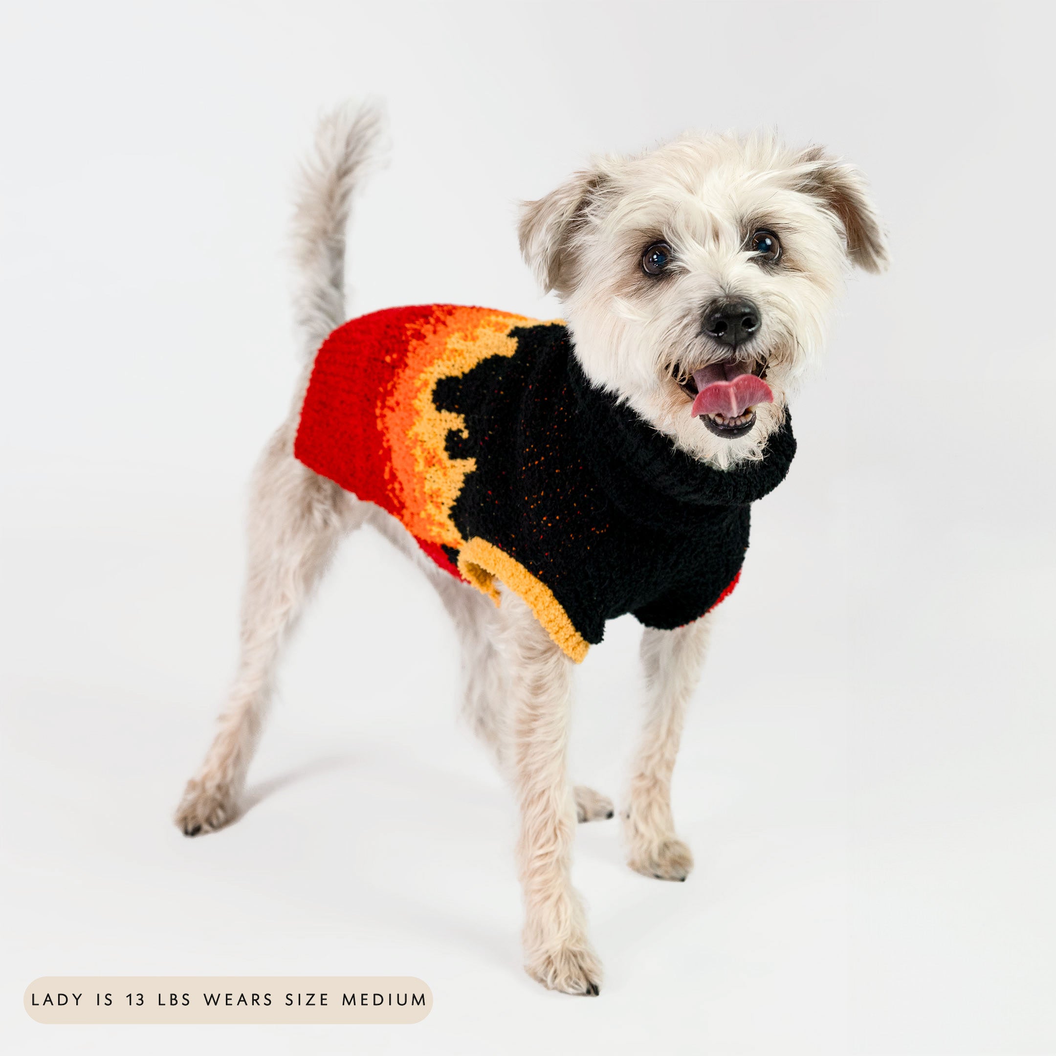 Small dog wearing a vibrant flame-patterned sweater, featuring a black base with red, orange, and yellow fire design. The cozy knit sweater provides warmth and style, perfect for fashion-forward furry pals.