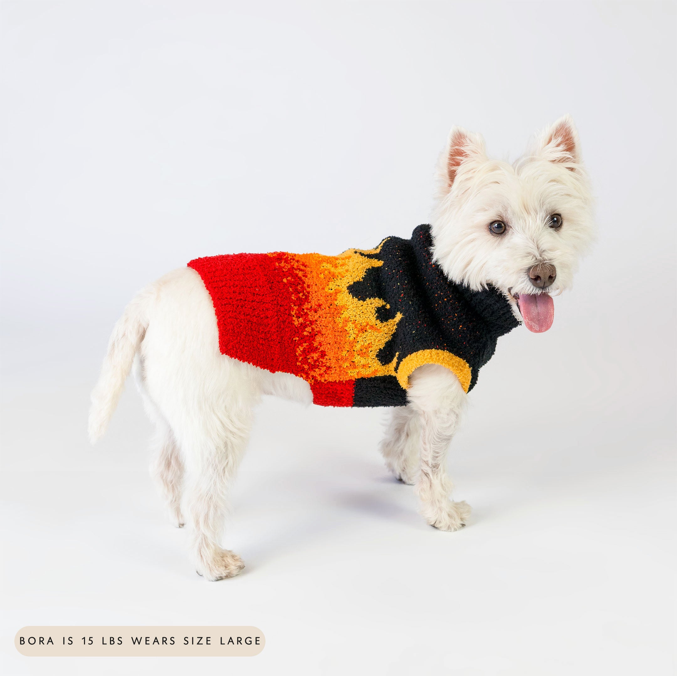 Small dog wearing a flame-patterned sweater with bold red, orange, yellow, and black colors, smiling with its tongue out. The vibrant knit sweater offers warmth and a fiery style, making it perfect for fashionable furry companions.