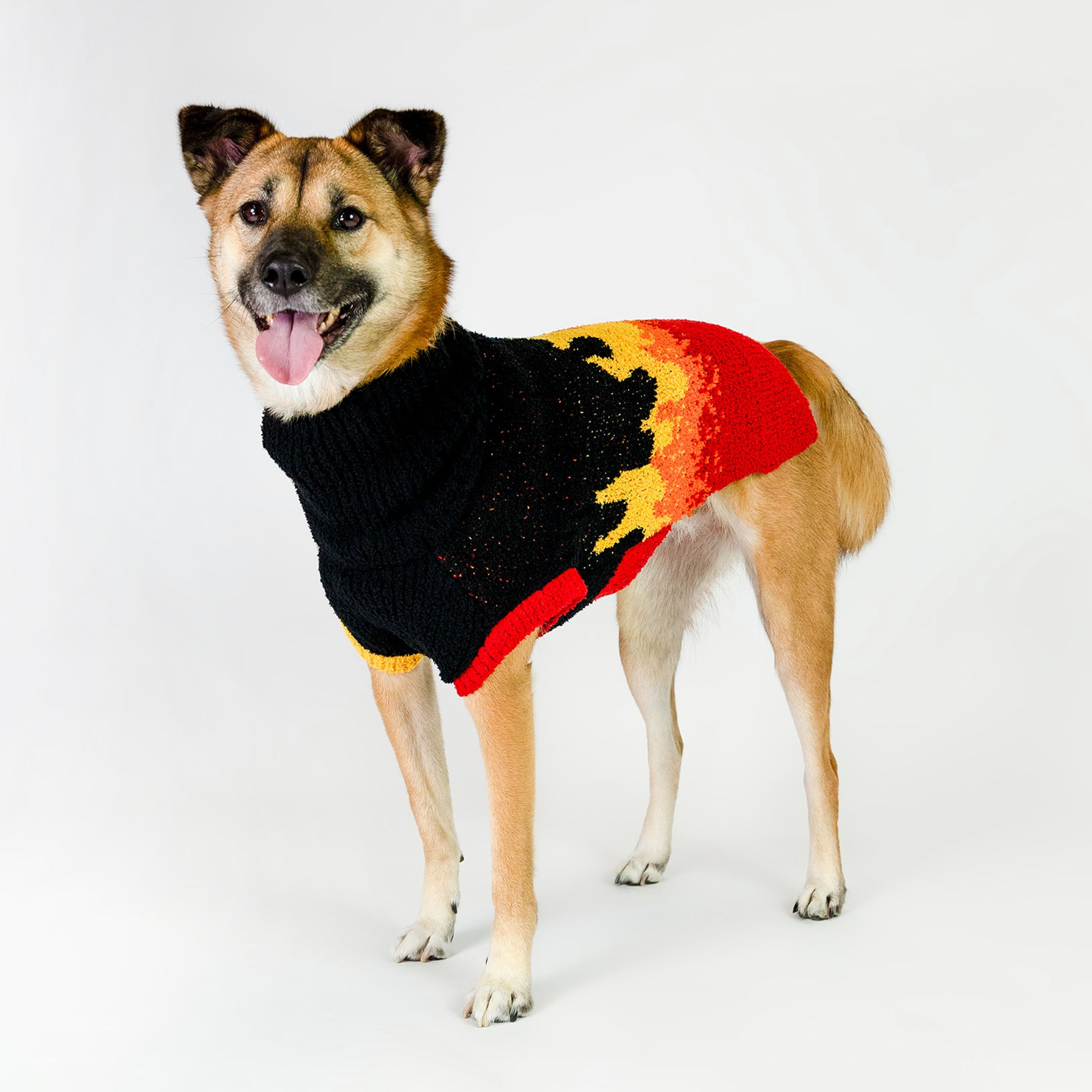 Medium-sized dog modeling a fiery flame-patterned sweater, featuring bold black, red, yellow, and orange colors. The cozy knit sweater combines warmth and bold style, perfect for larger furry pals who love standing out.