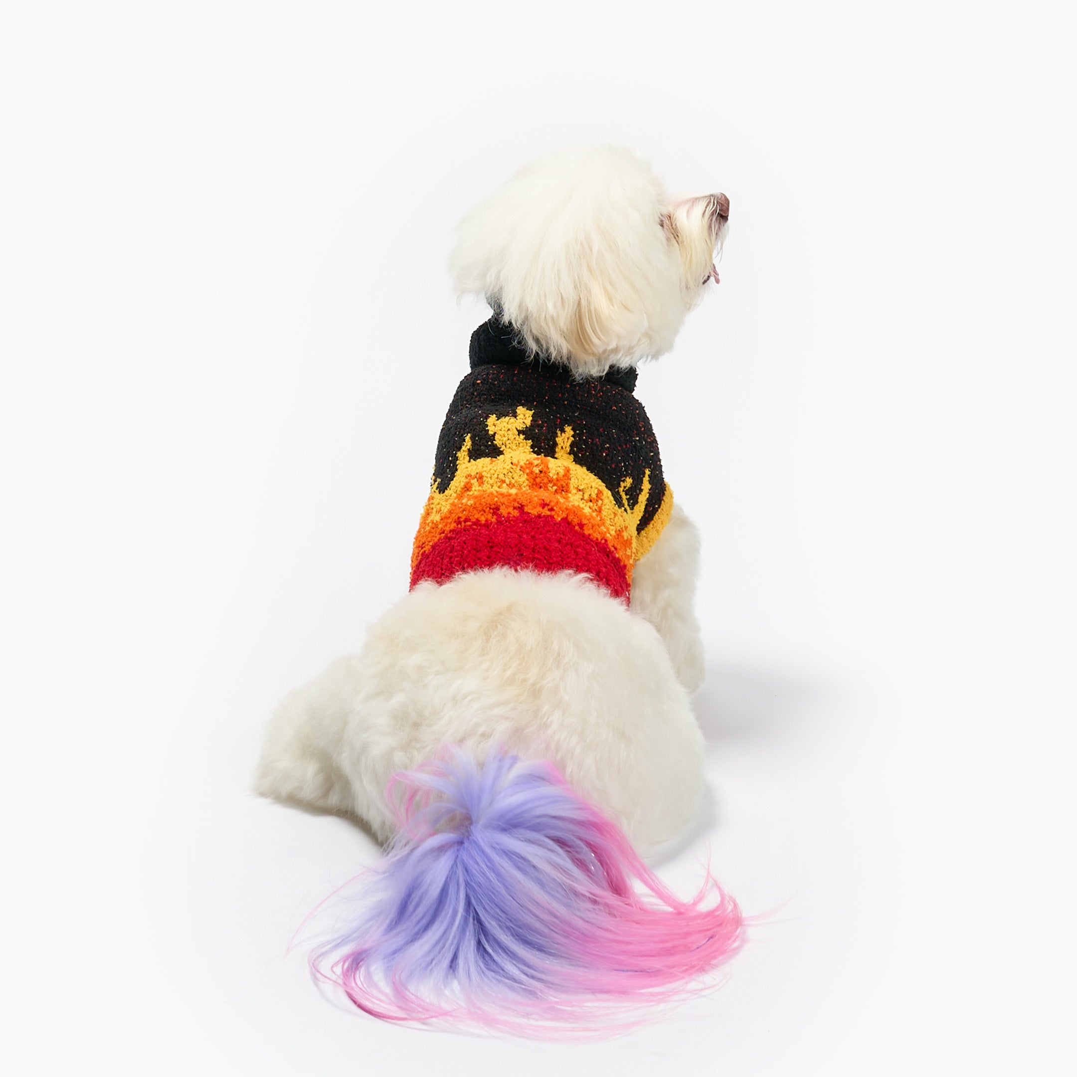 White dog lying down facing away, wearing a black knit sweater with a flame pattern in yellow, orange, and red, and a pastel pink and purple dyed tail visible against a white background