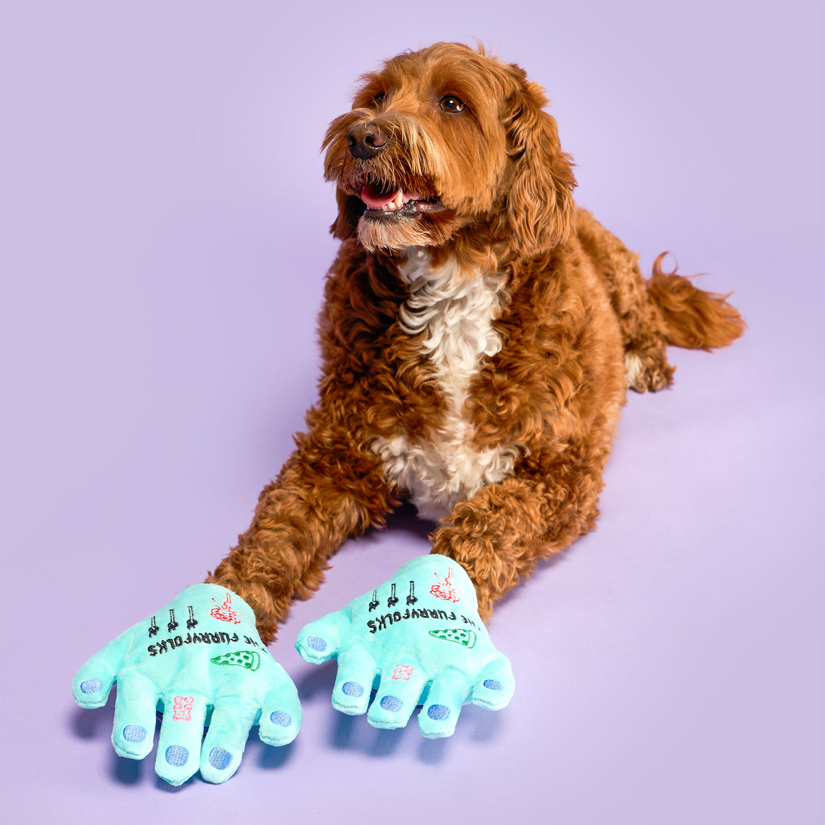 A curly brown dog with two tattooed Lost Hand toys positioned in front of its paws on a purple background.