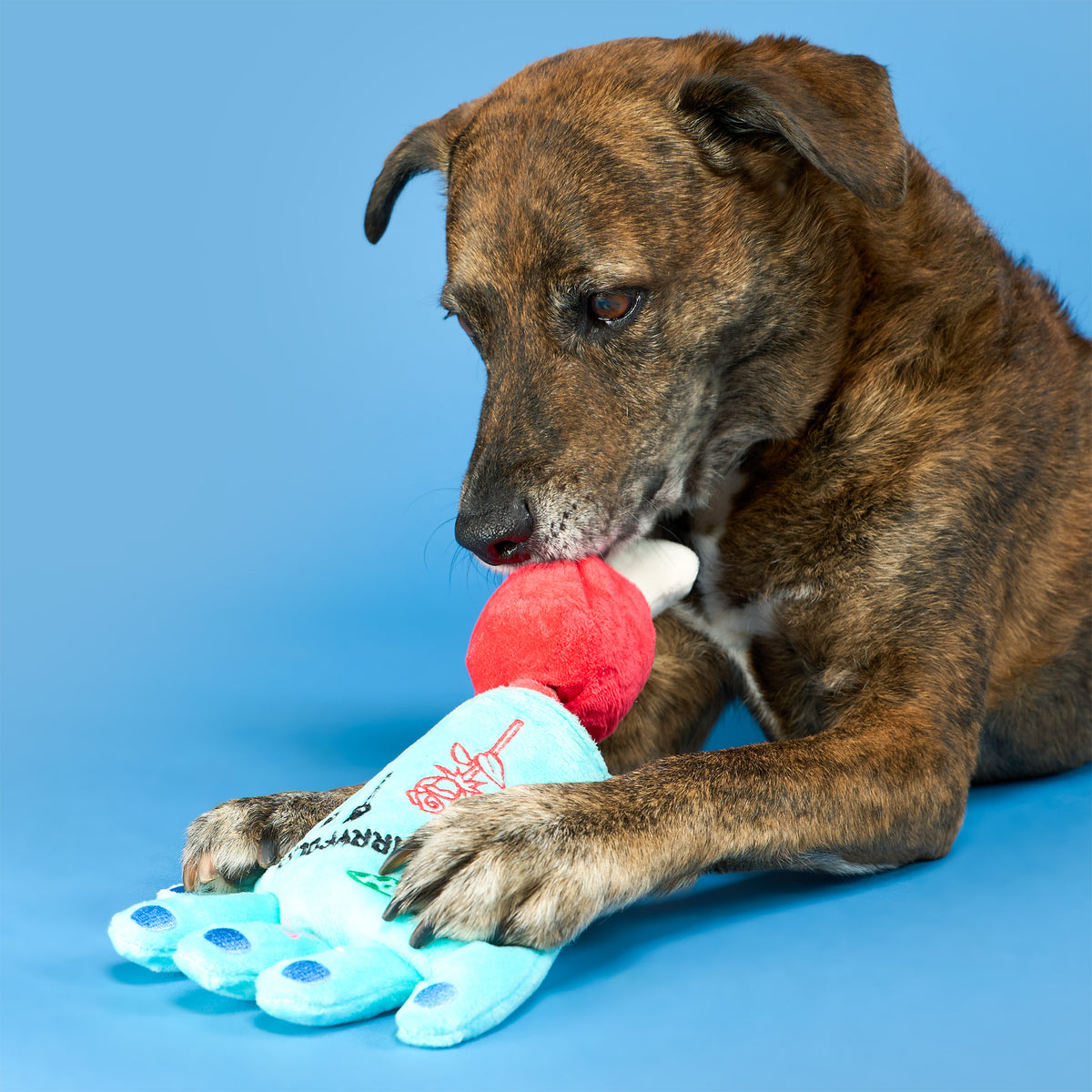 A brindle dog holding the removable bone piece in its mouth while resting a paw on the Lost Hand toy.
