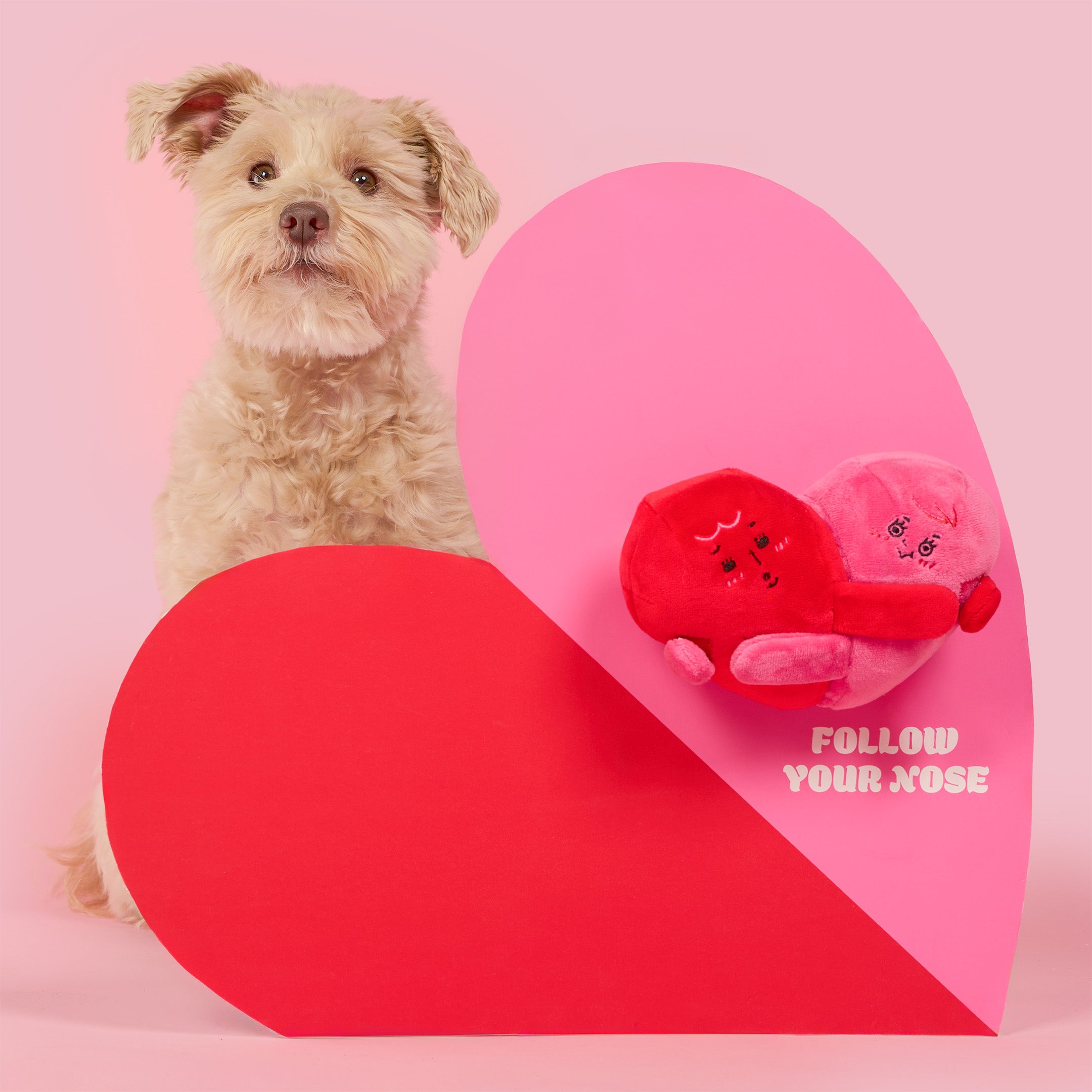 Dog sitting next to a heart-shaped object with plush toys on a pink background