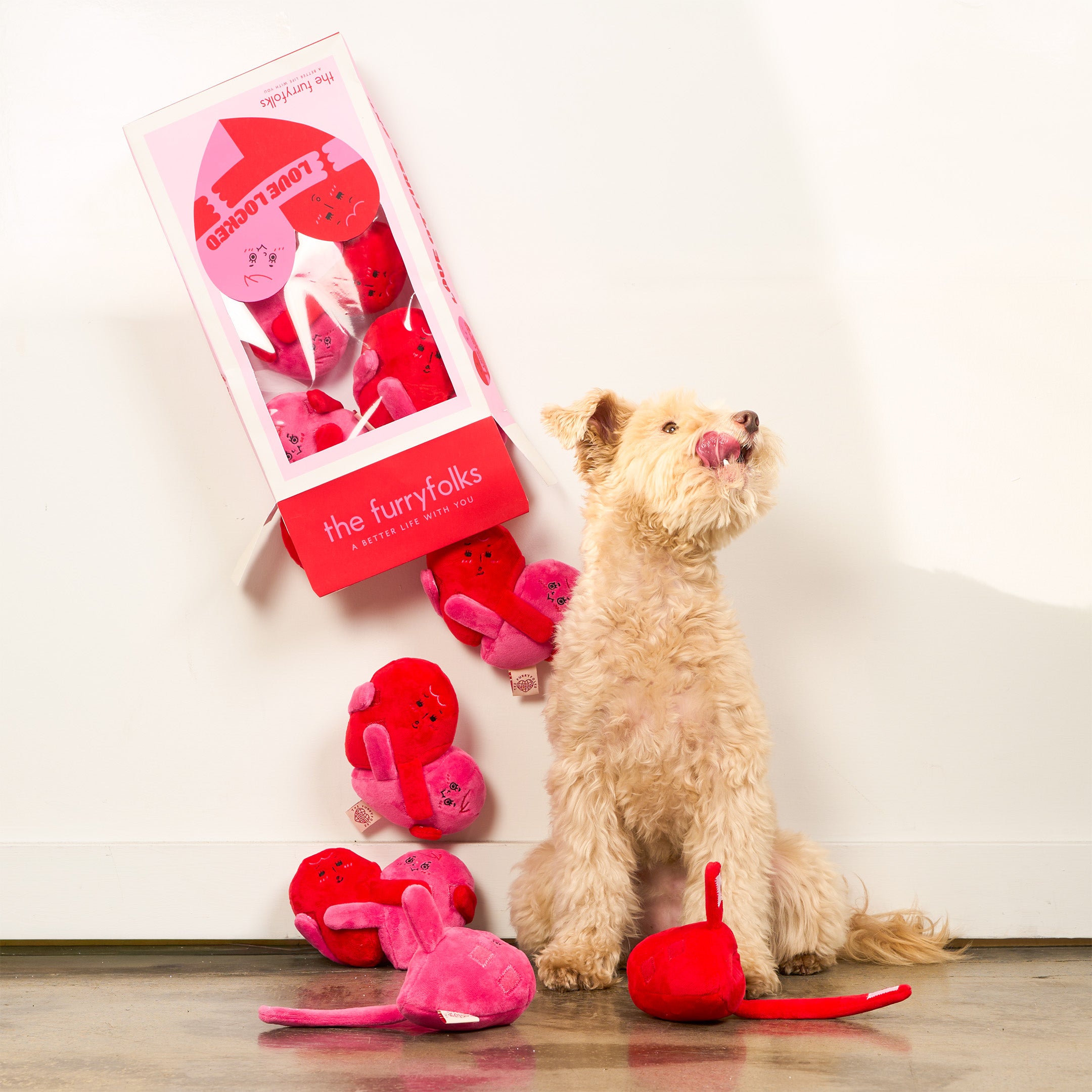 Dog playing with red and pink dog toys from 'the furry folks' brand.