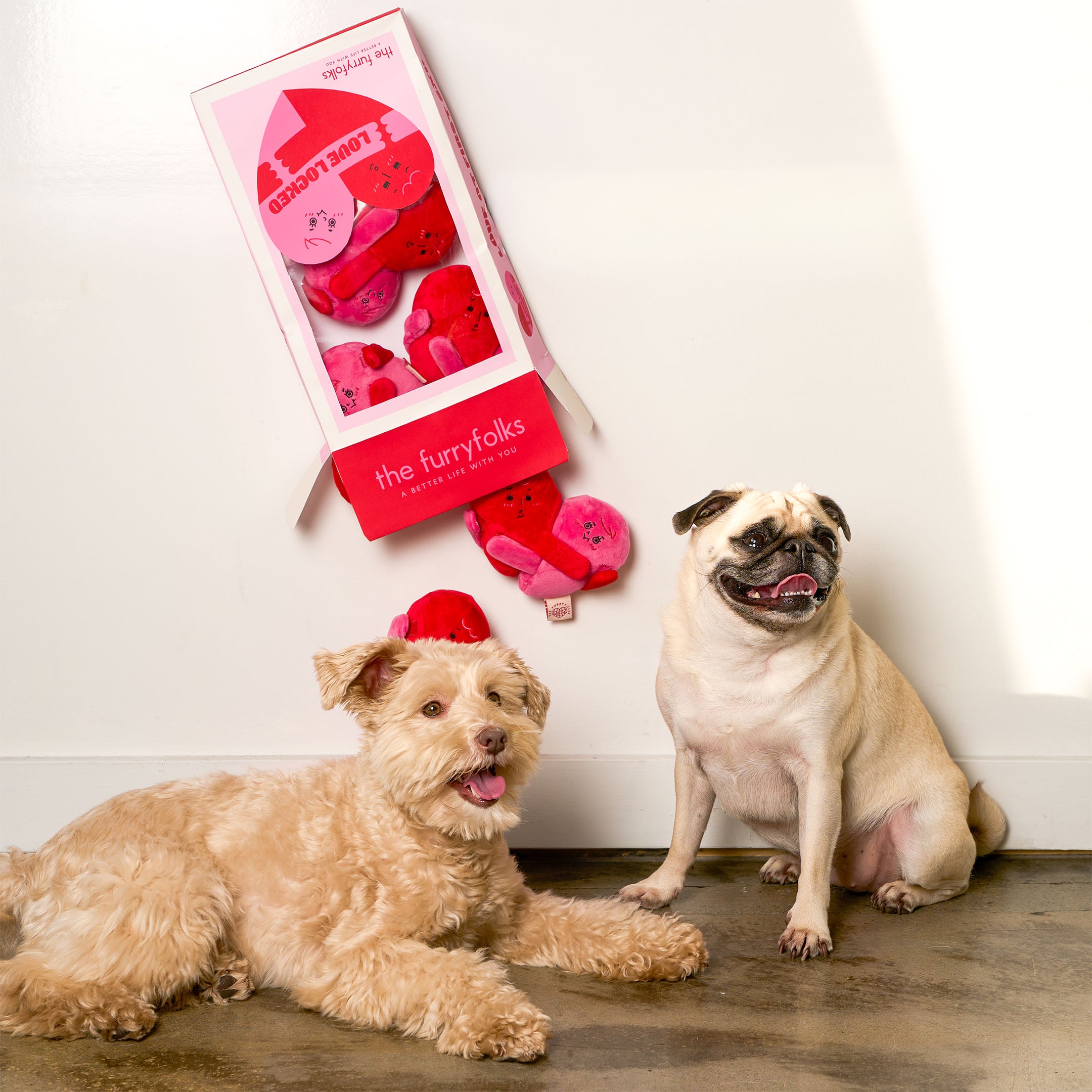 Two dogs with a box of heart-shaped dog toys on a wooden floor.