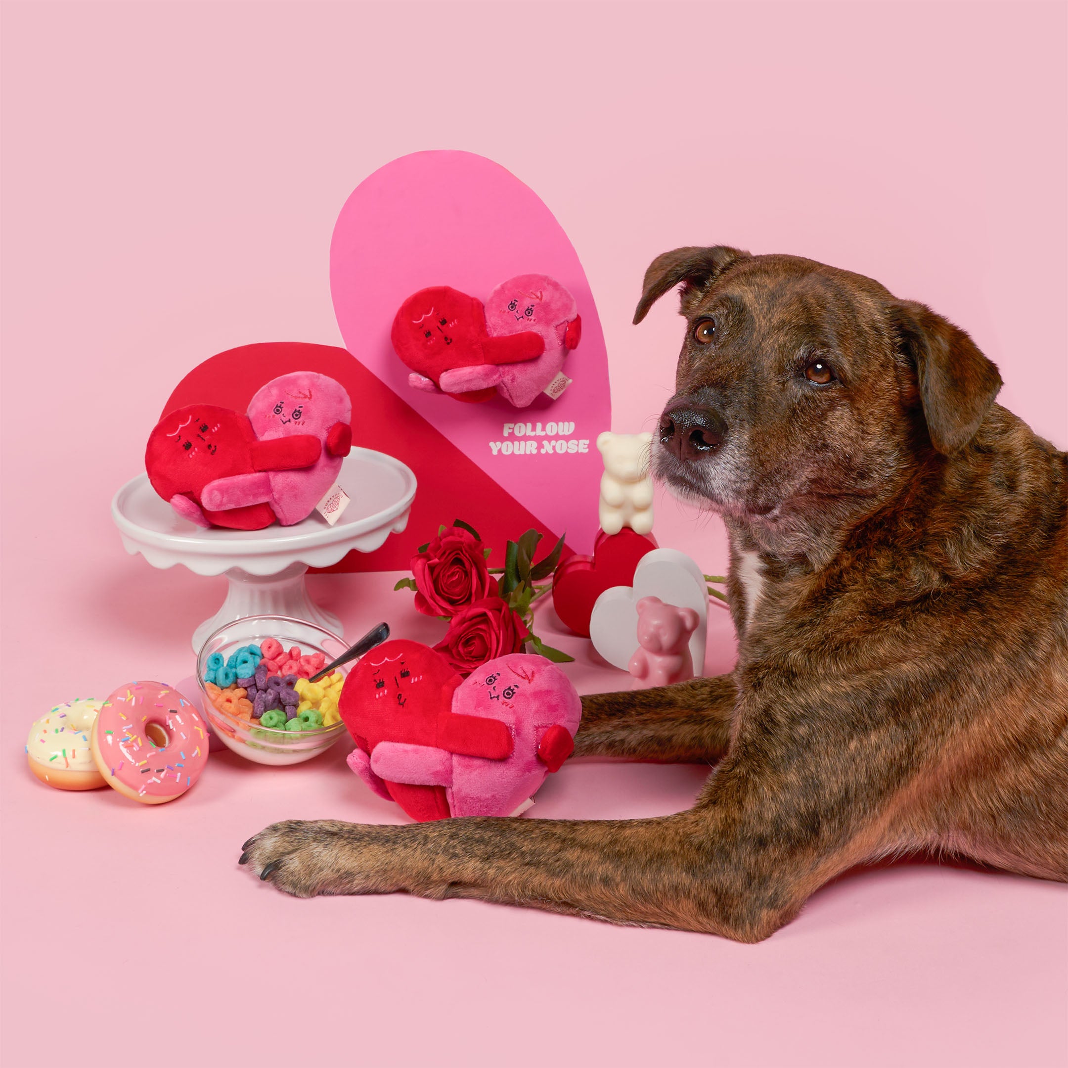 Dog sitting next to Valentine's Day-themed heart-shaped products on a pink background