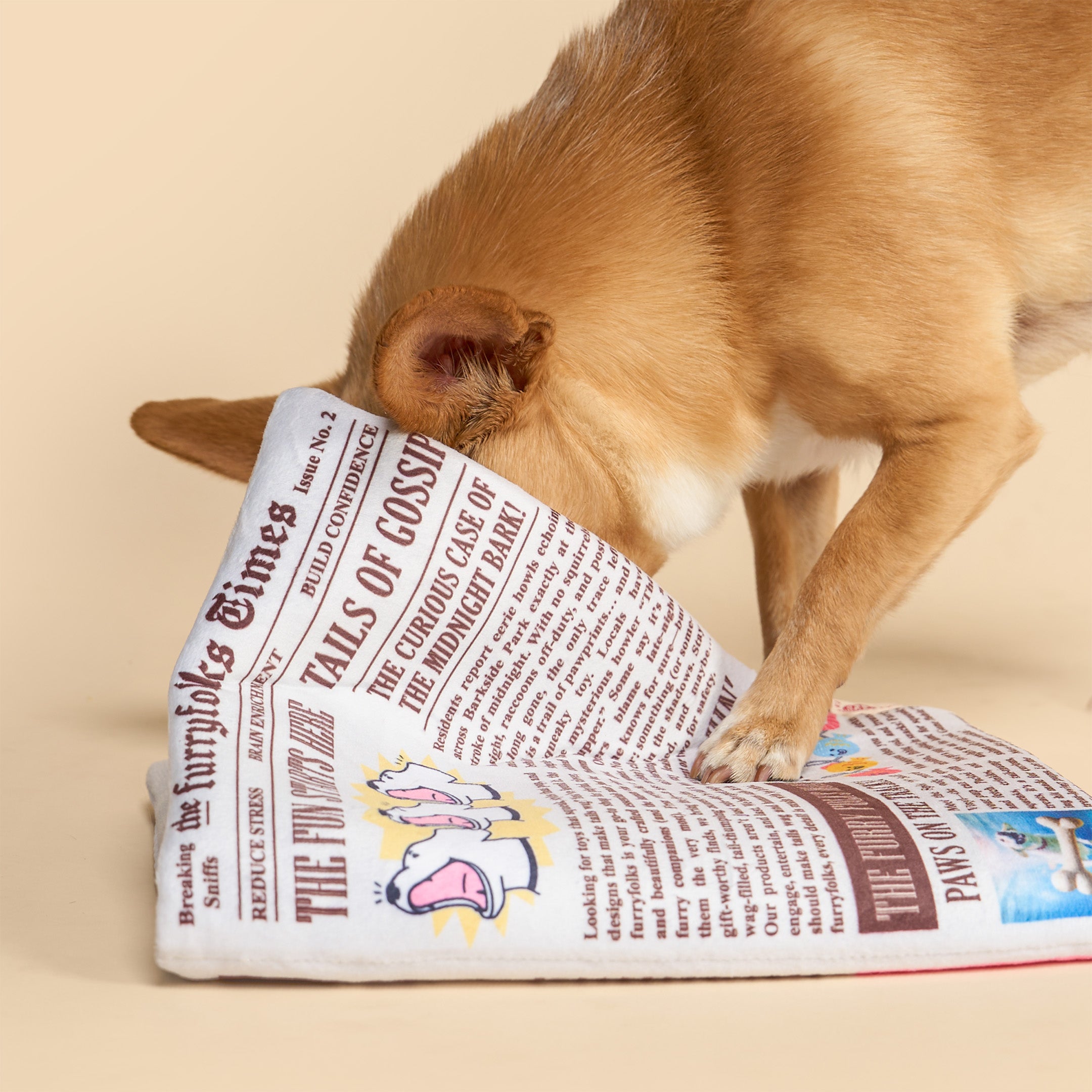 A small tan dog is sniffing and pawing at a plush toy newspaper with printed newspaper-style text and illustrations, photographed against a plain warm beige studio background.