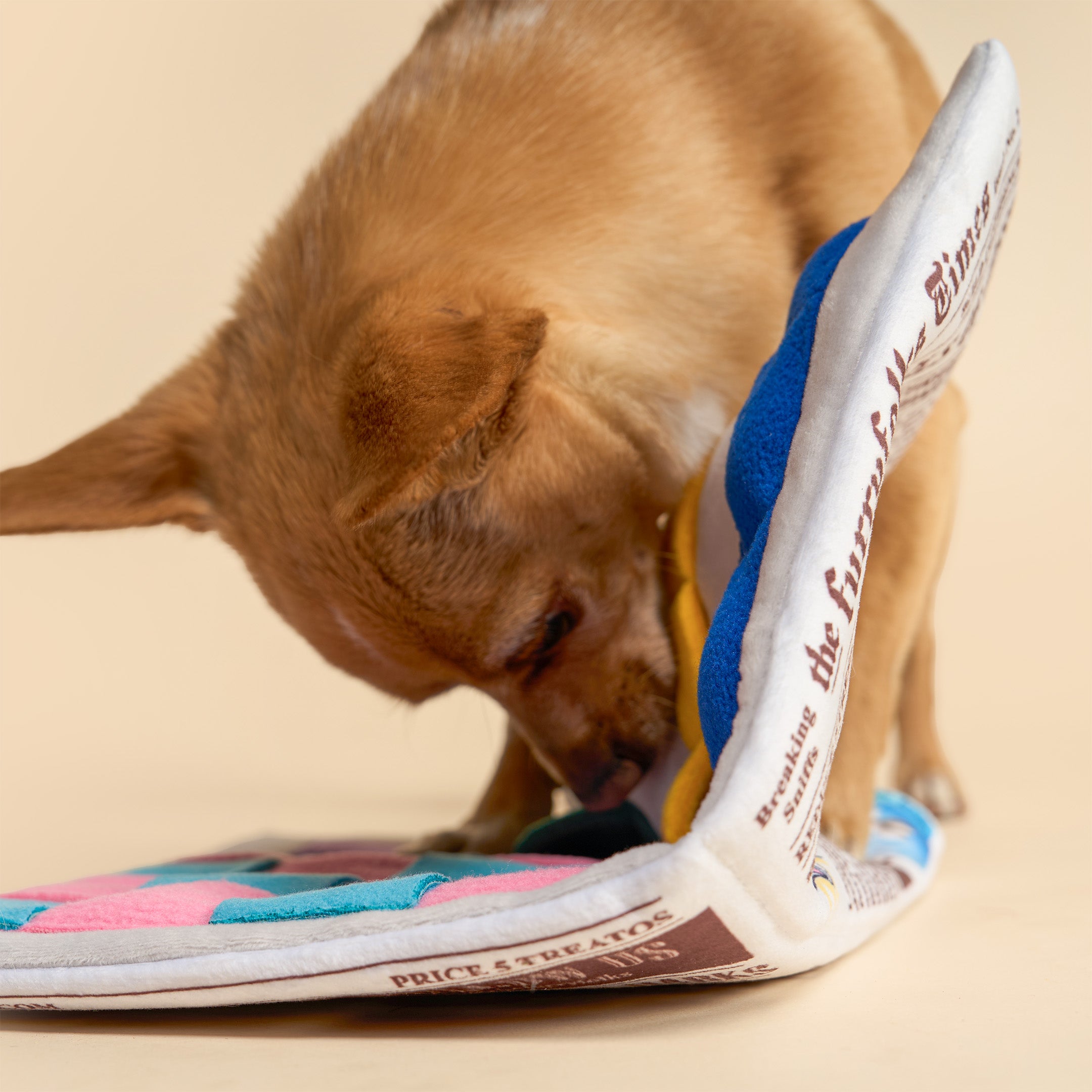 A small tan dog is playfully biting and chewing a colorful plush toy shaped like an open book, with blue, pink, teal, and white fabric panels and printed text details.