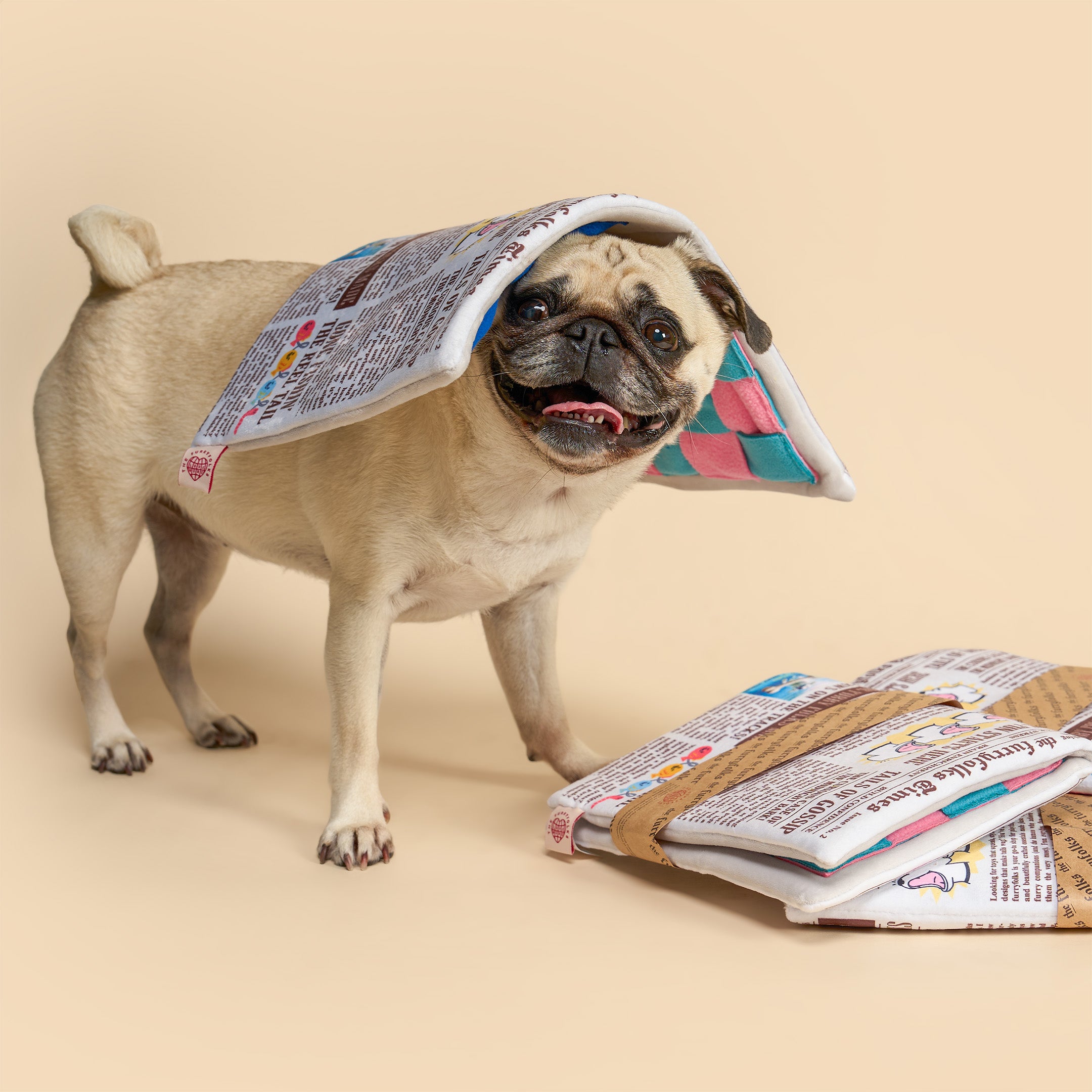 A fawn pug stands on a beige studio background wearing a soft rectangular newspaper-style head collar, with folded matching newspaper-textured accessories on the floor beside it.