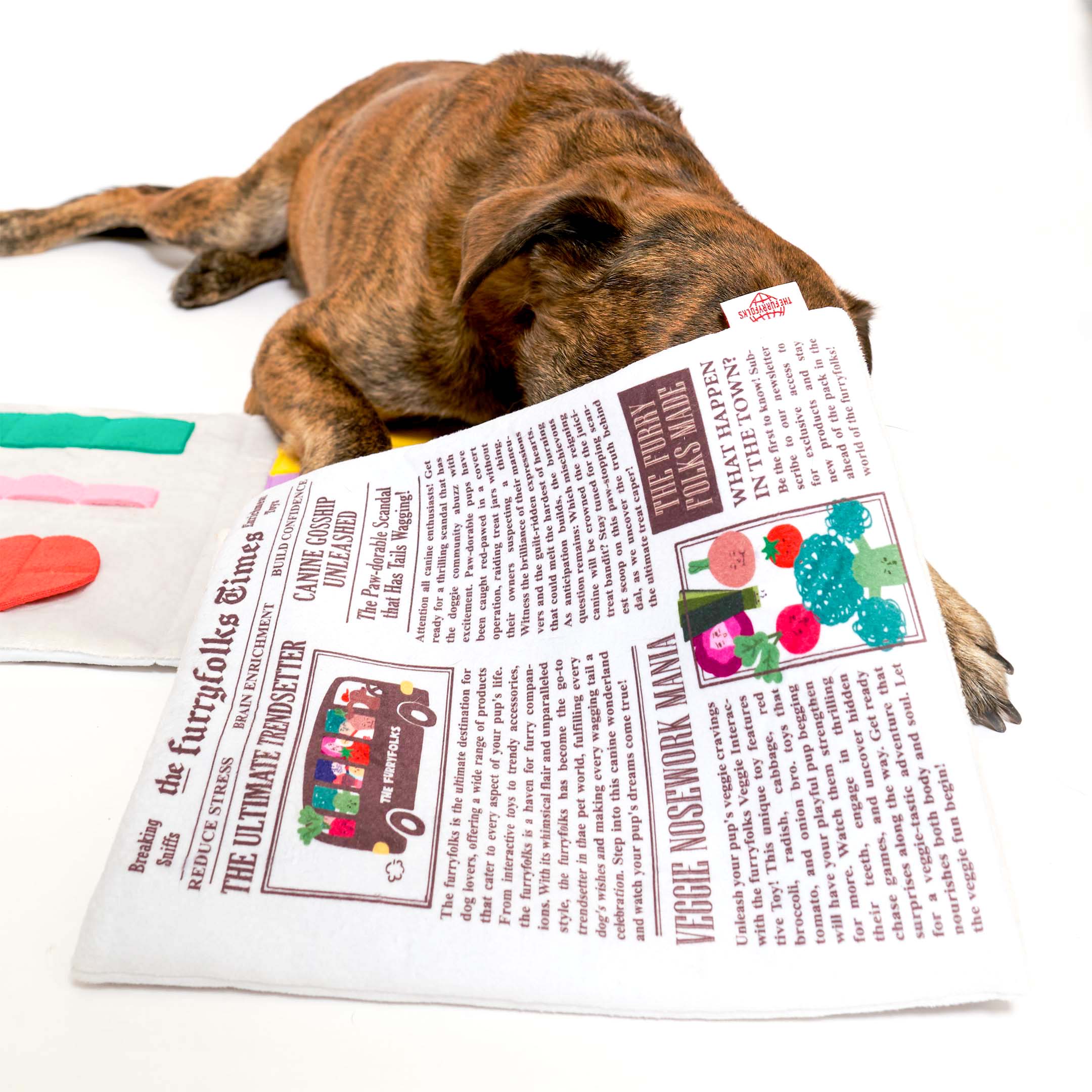 A dog interacting with a nosework toy designed to look like a newspaper titled 'the furryfolks Times,' which includes playful articles and illustrations. The dog uses its nose to search for treats within the newspaper folds.