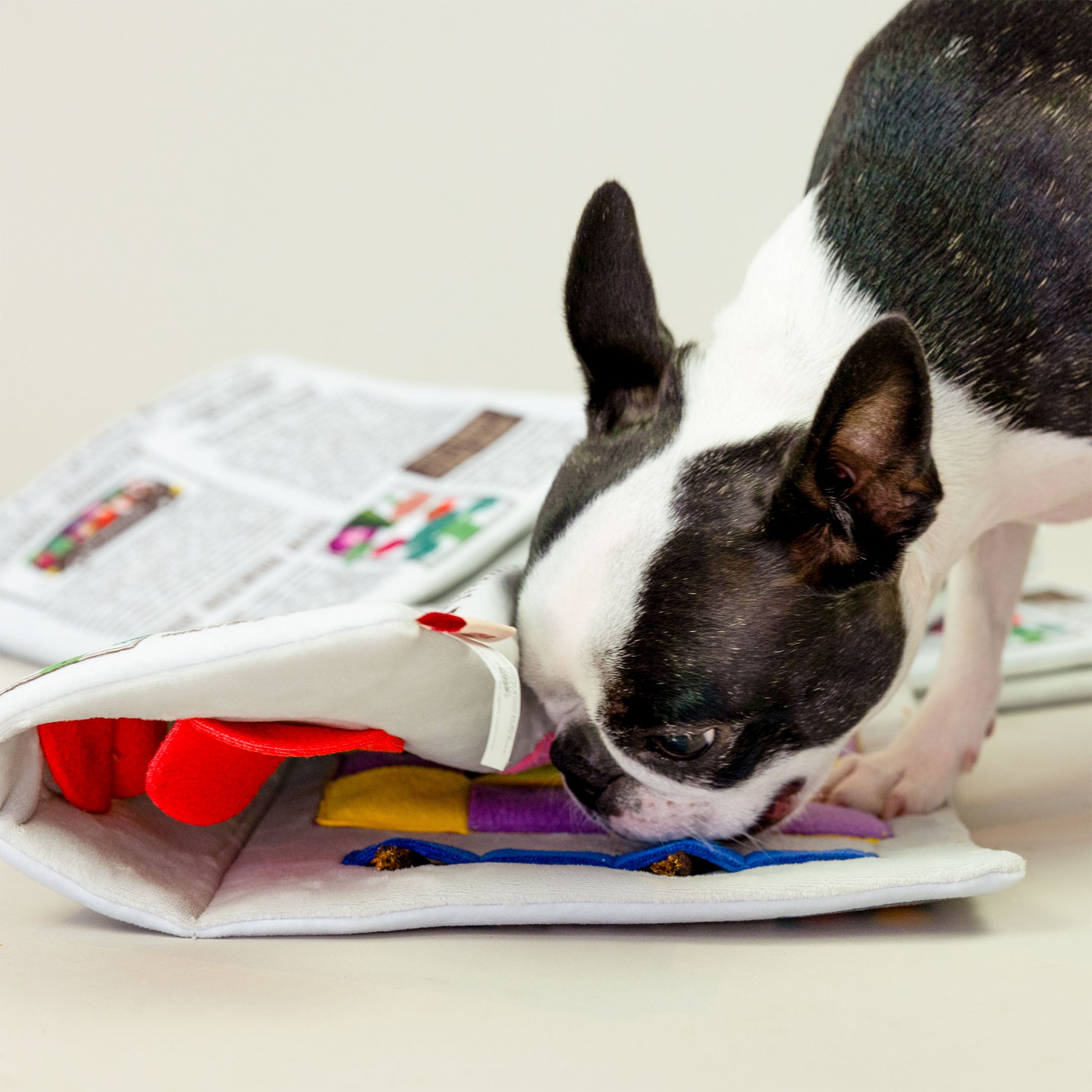 In this close-up image, the dog is focused on the nosework toy, actively sniffing and engaging with one of the fabric sections, which appears to be concealing treats or small items. The design seems to encourage the dog to interact with different parts of the toy, such as the folds and compartments, which are likely filled with hidden rewards. The vibrant colors and textures of the toy further contribute to the interactive experience for the dog.