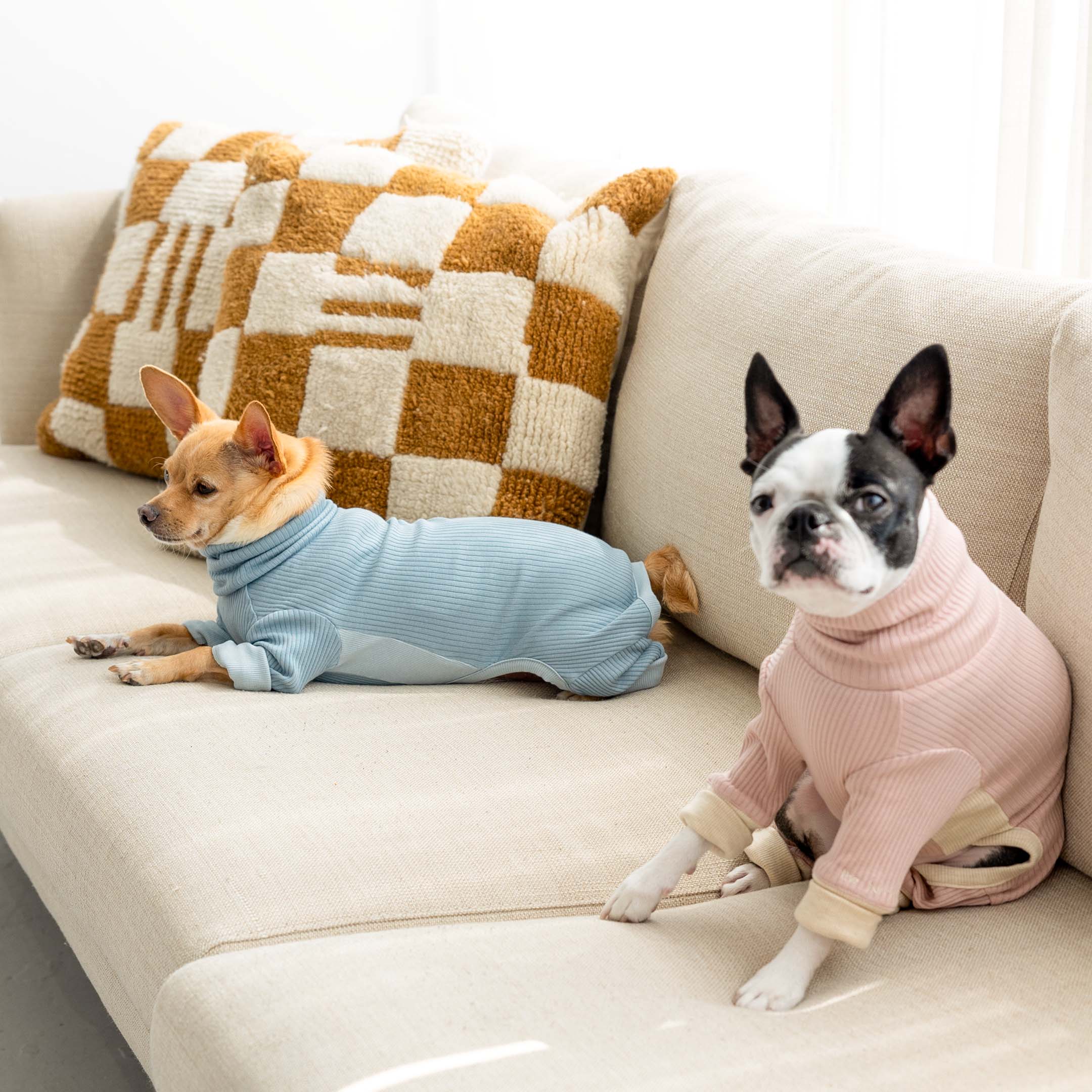 Two small dogs on a beige couch, one in a pink ribbed dog onesie and the other in blue, relaxing against a textured cushion.